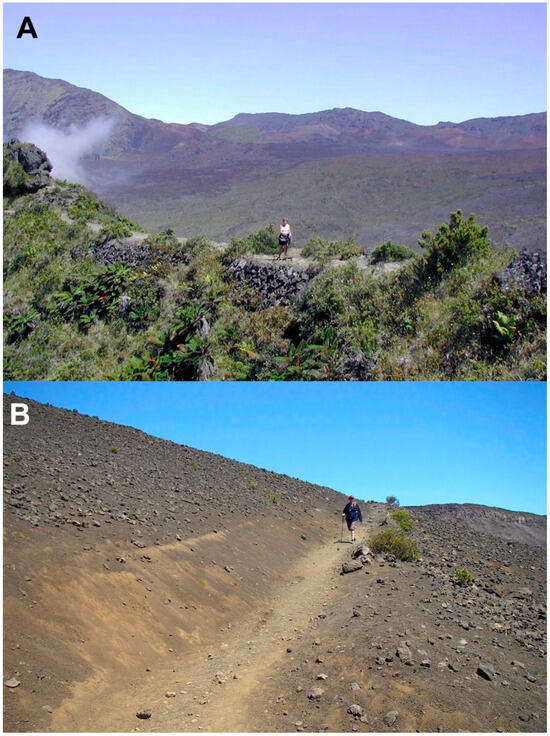 Early Uses by Ancient Hawaiians, and Environmental