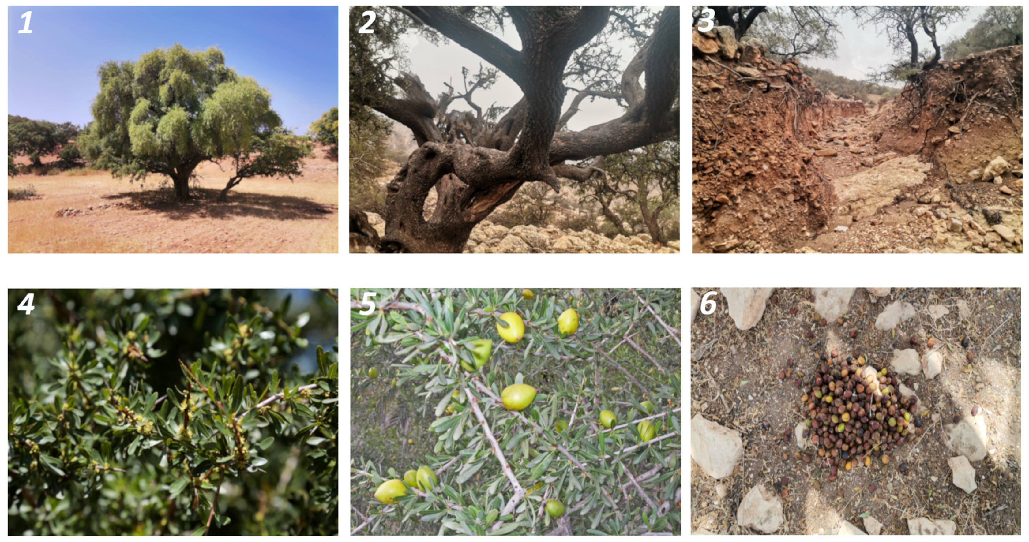 Geographies 04 00024 g001