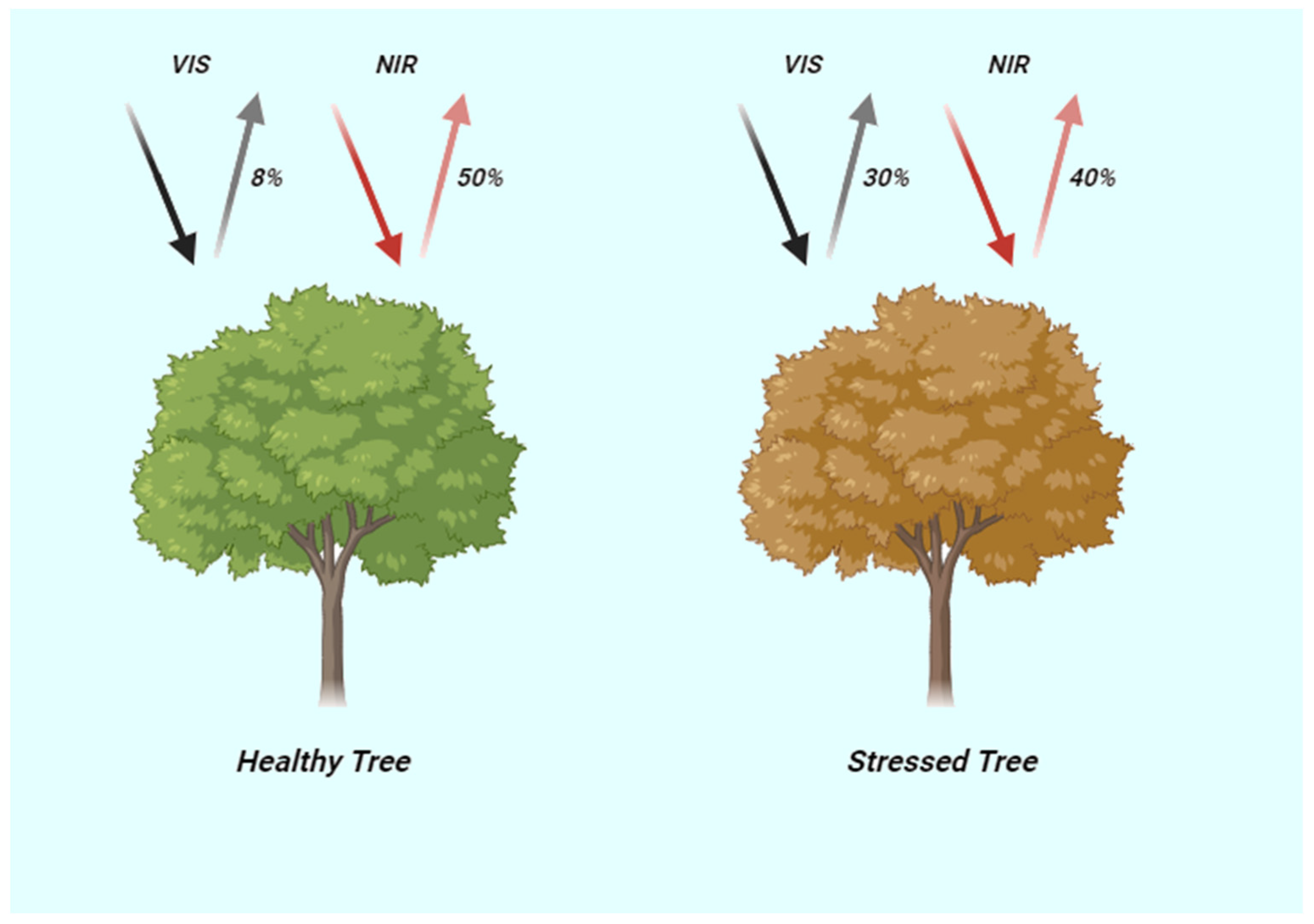 Geographies 04 00024 g003