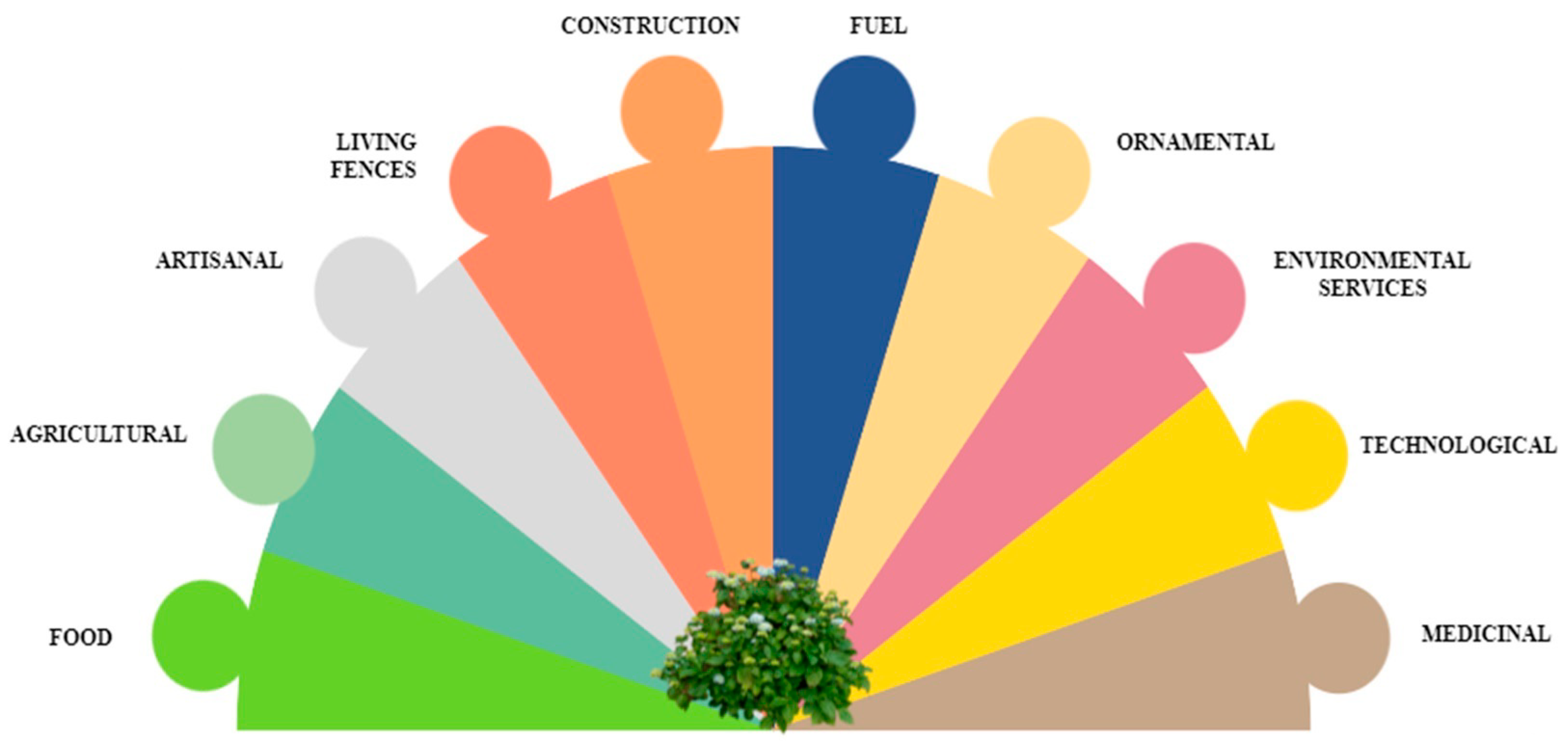 Geographies 04 00029 g004