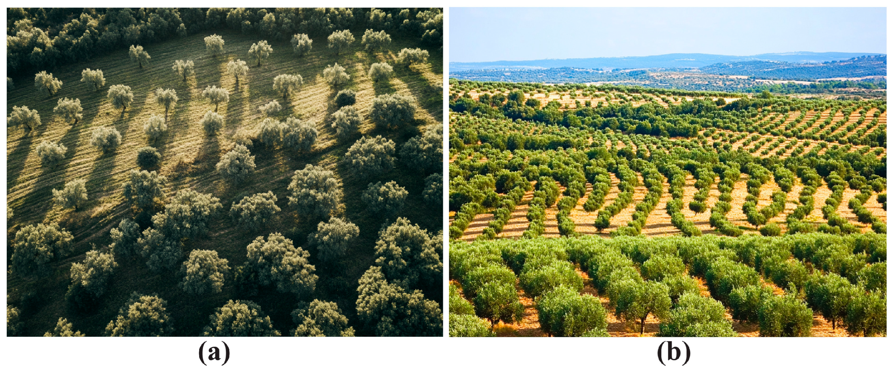 Geographies 05 00009 g002