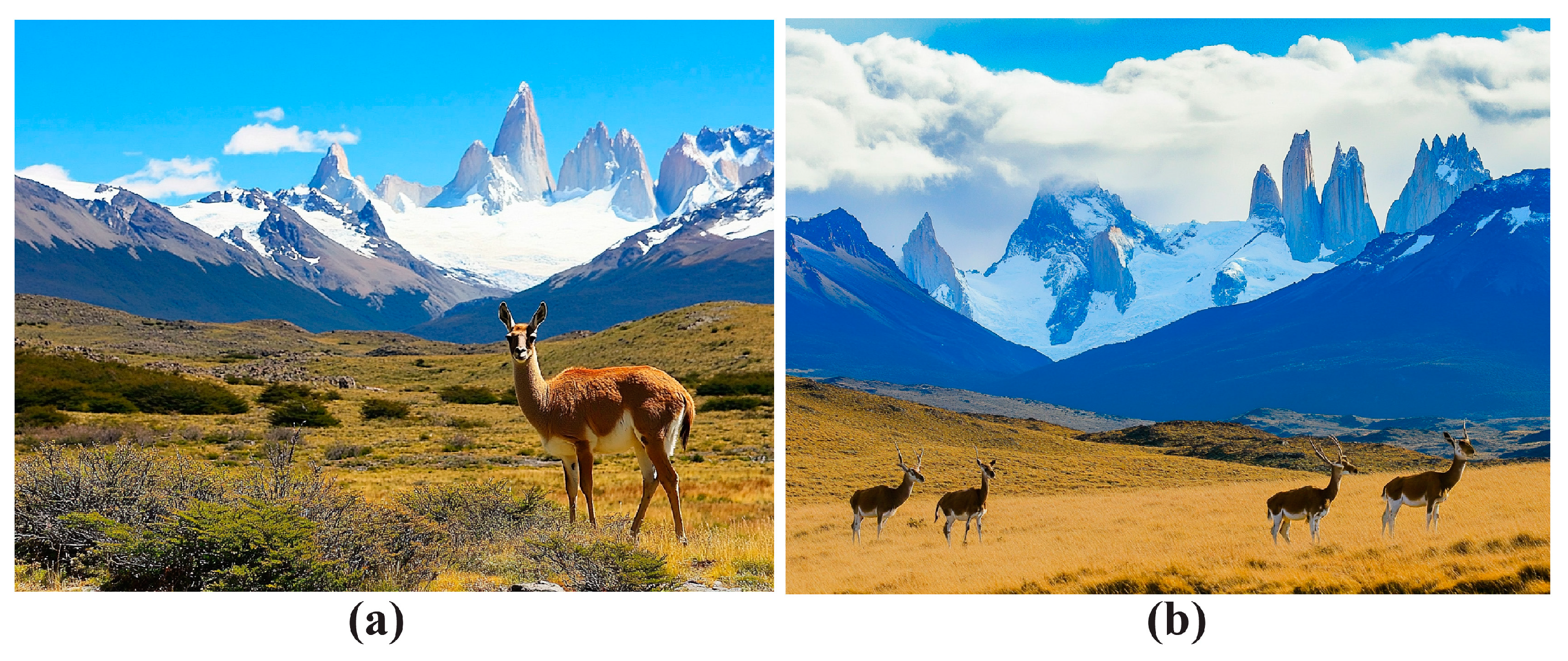 Geographies 05 00009 g003