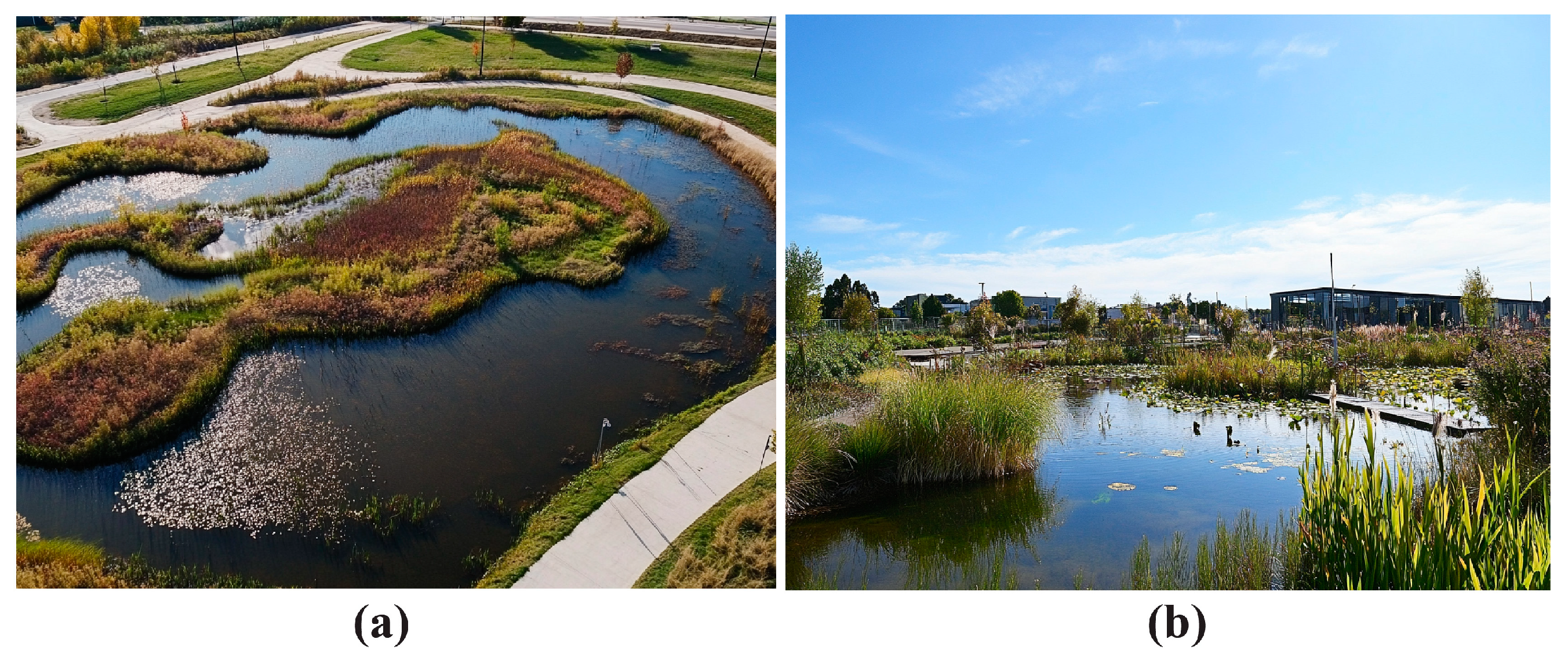 Geographies 05 00009 g008