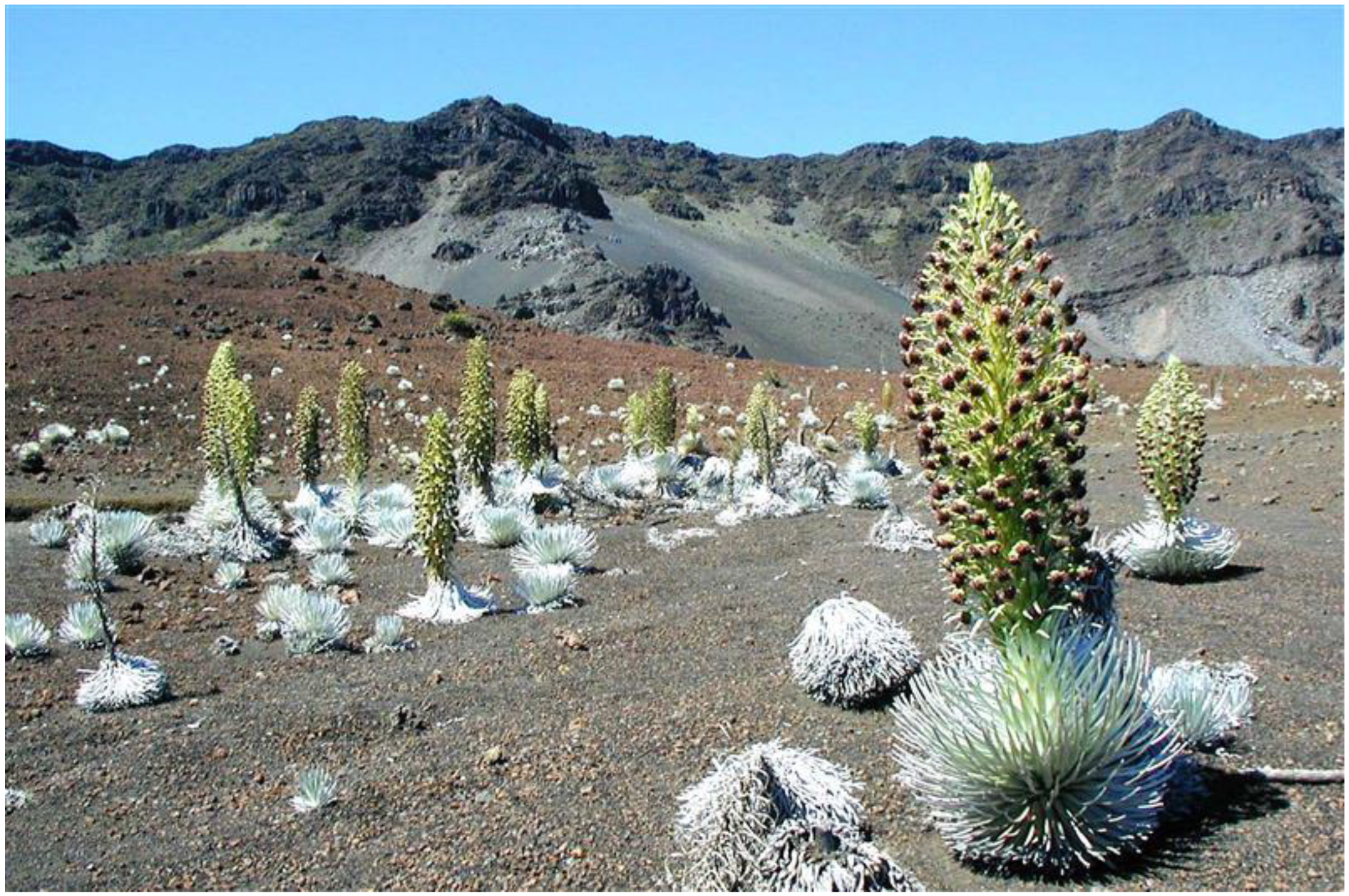 Geographies 05 00013 g003