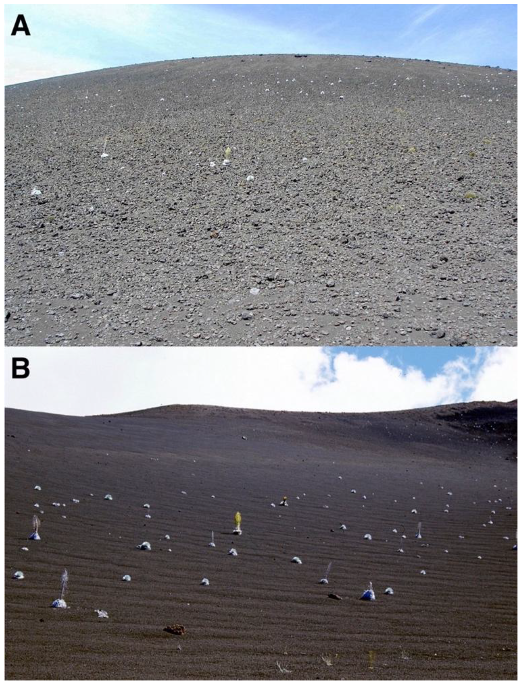 Geographies 05 00013 g013