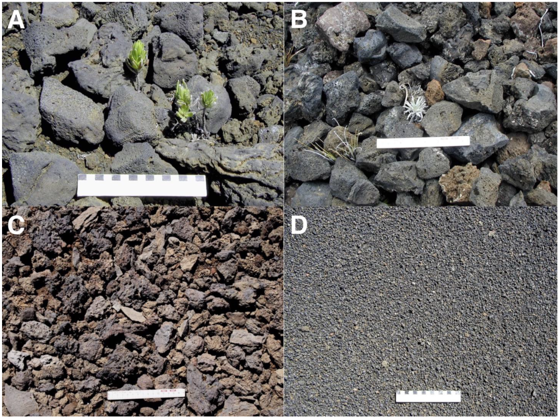 Geographies 05 00013 g014