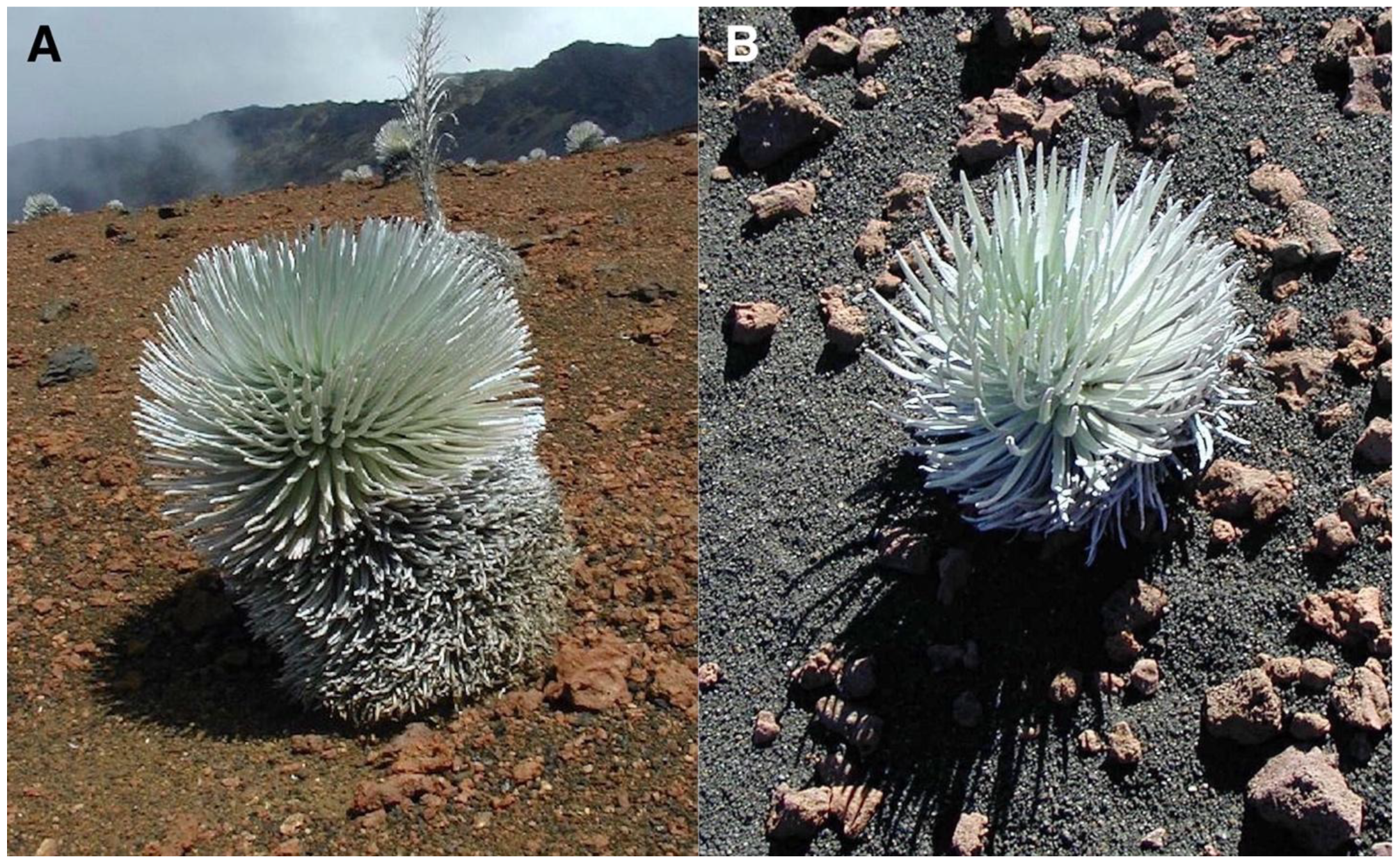 Geographies 05 00013 g019