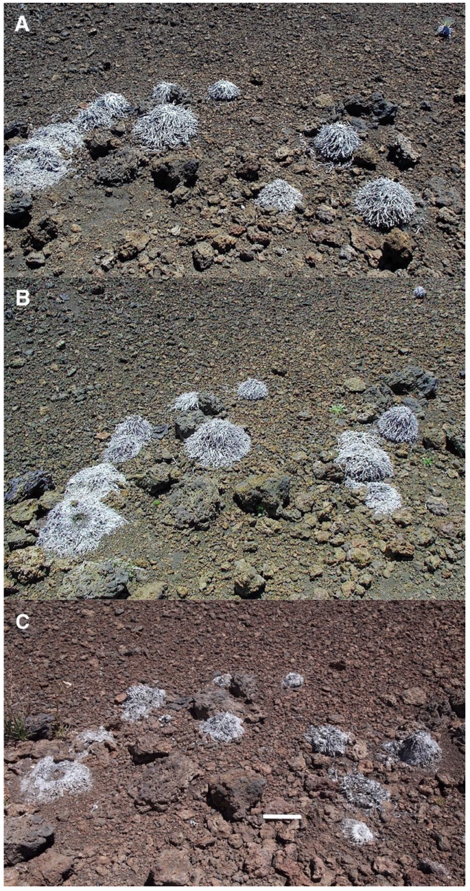 Geographies 05 00013 g022