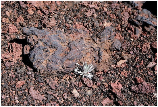 Thermal Influence of Volcanic Tephra on Maximum Soil Temperatures