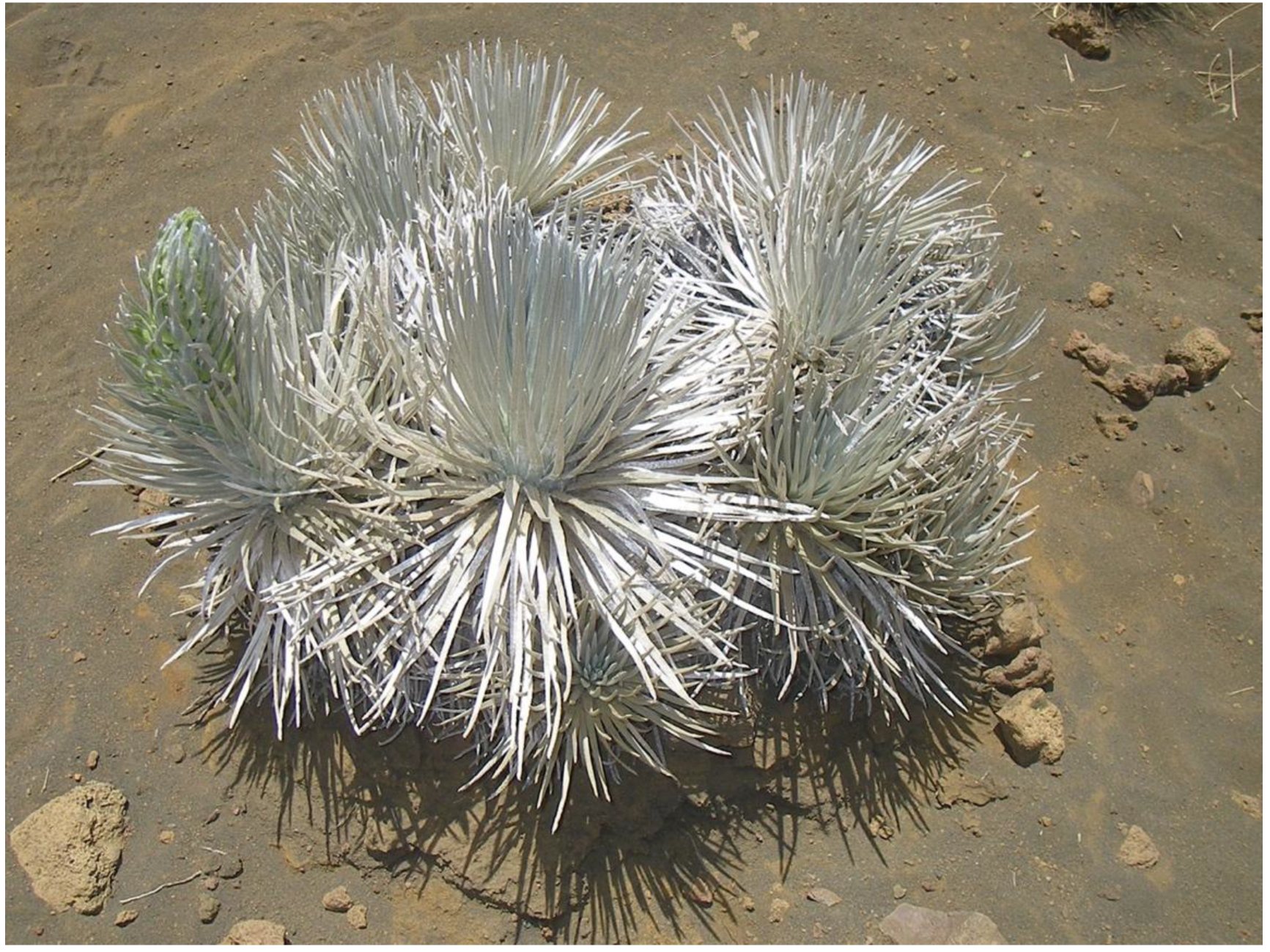 Geographies 05 00013 g030