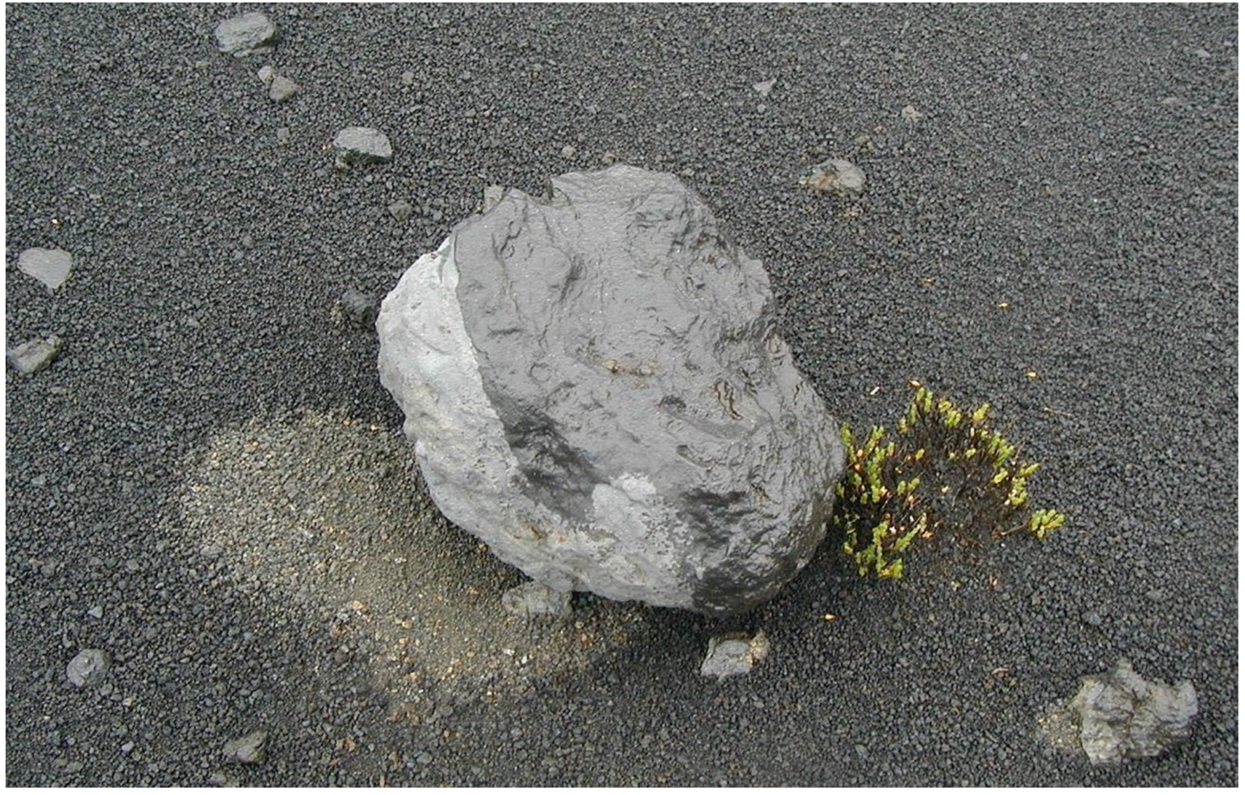 Geographies 05 00013 g031