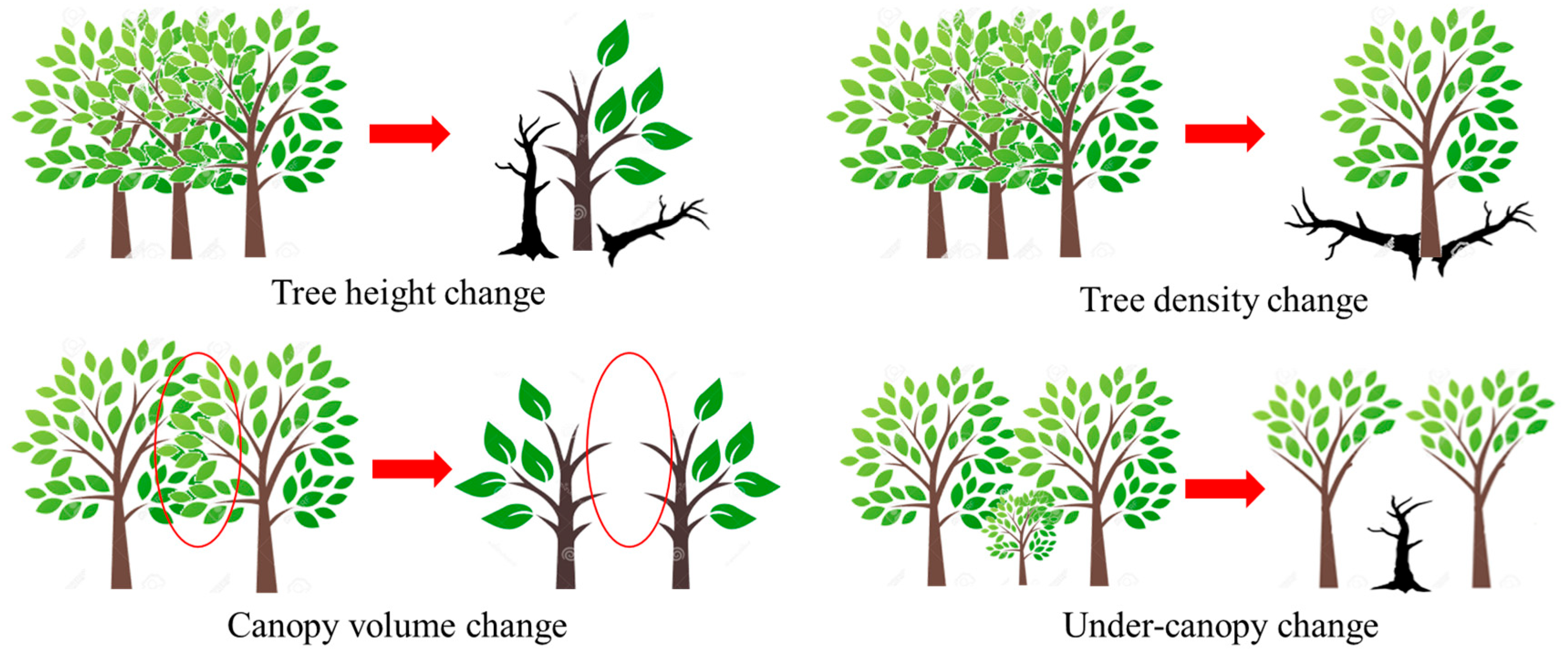 Geographies 05 00030 g001