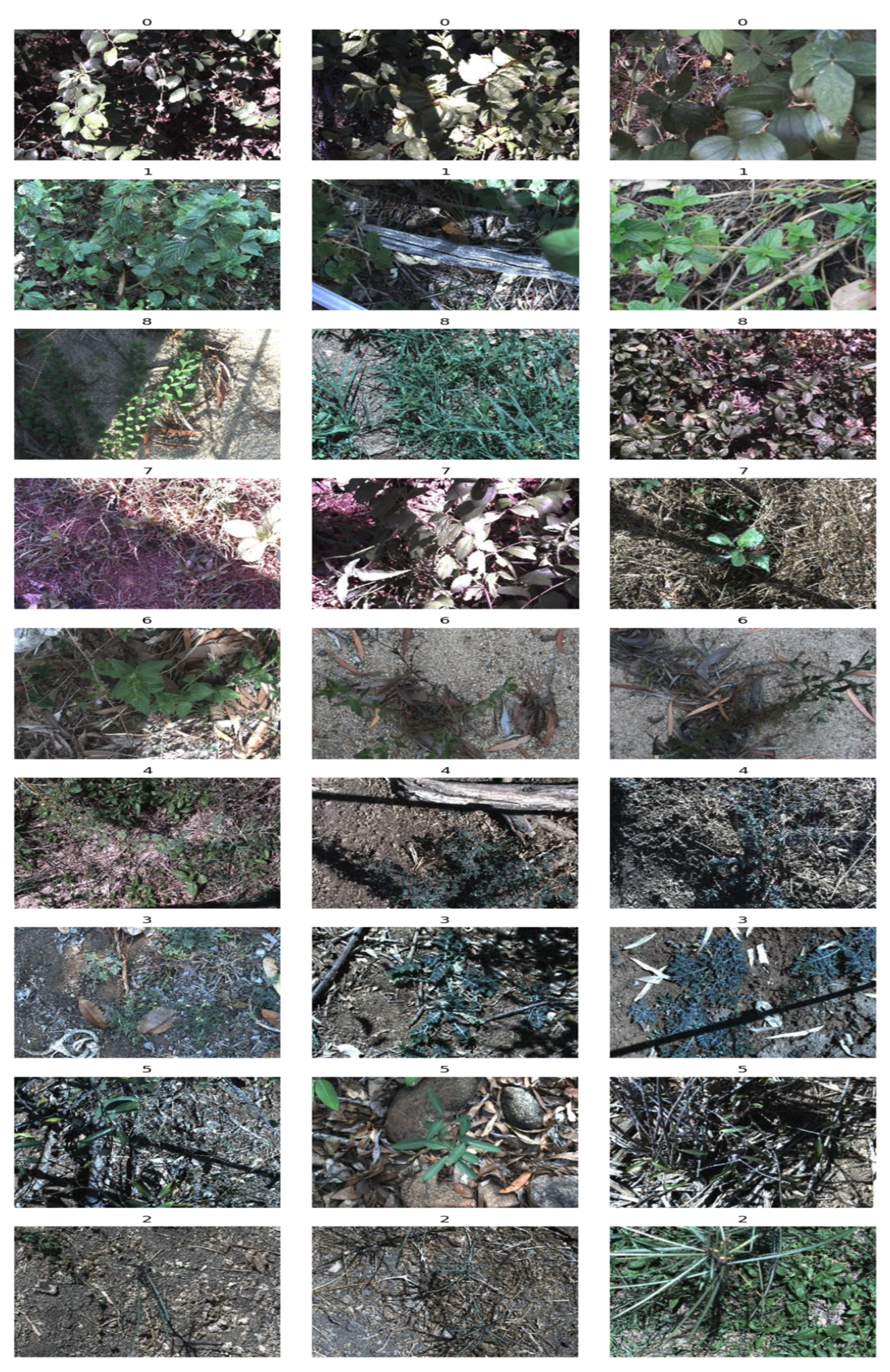 Geographies 05 00064 g002