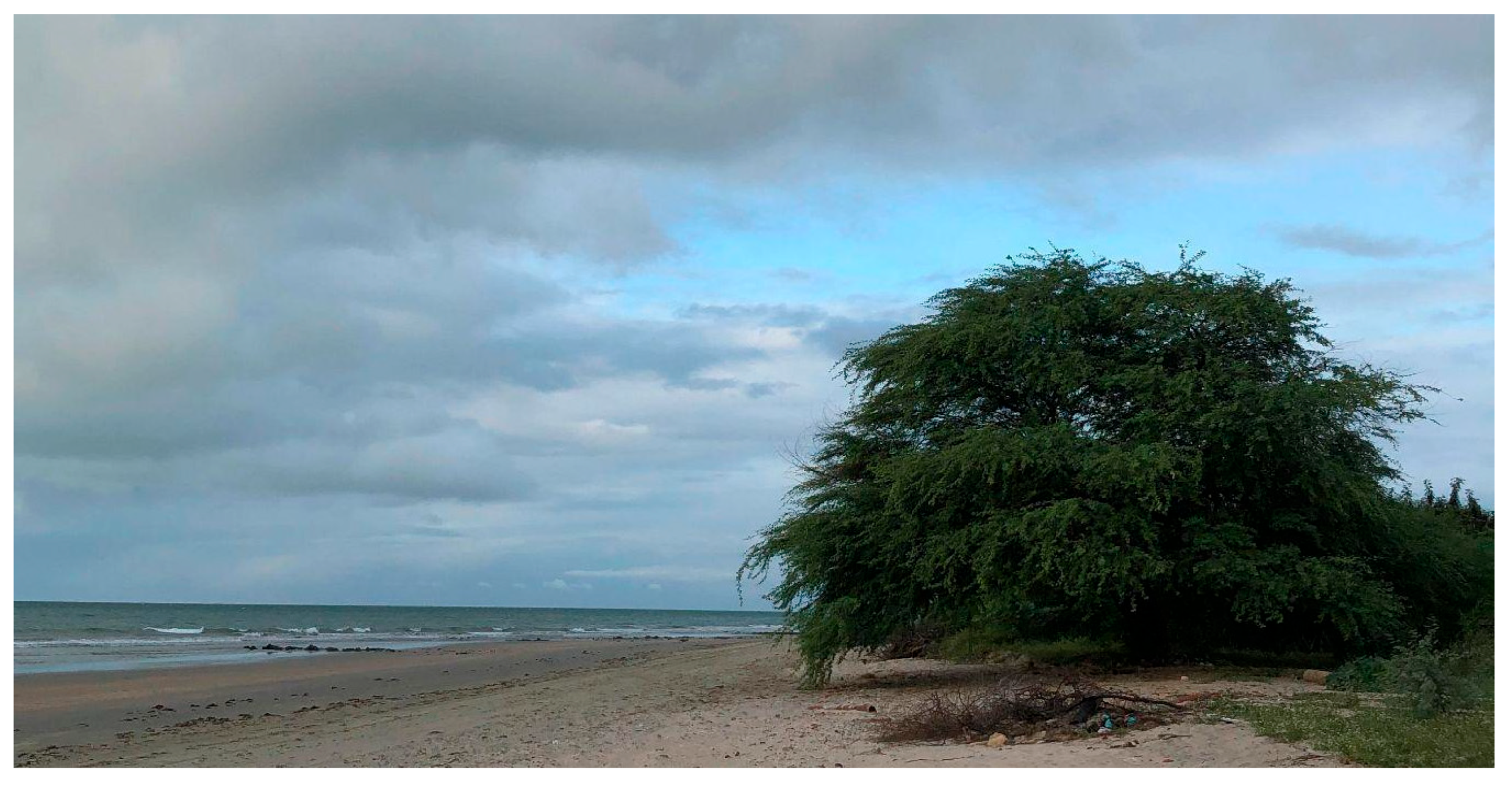 Geographies 05 00070 g019