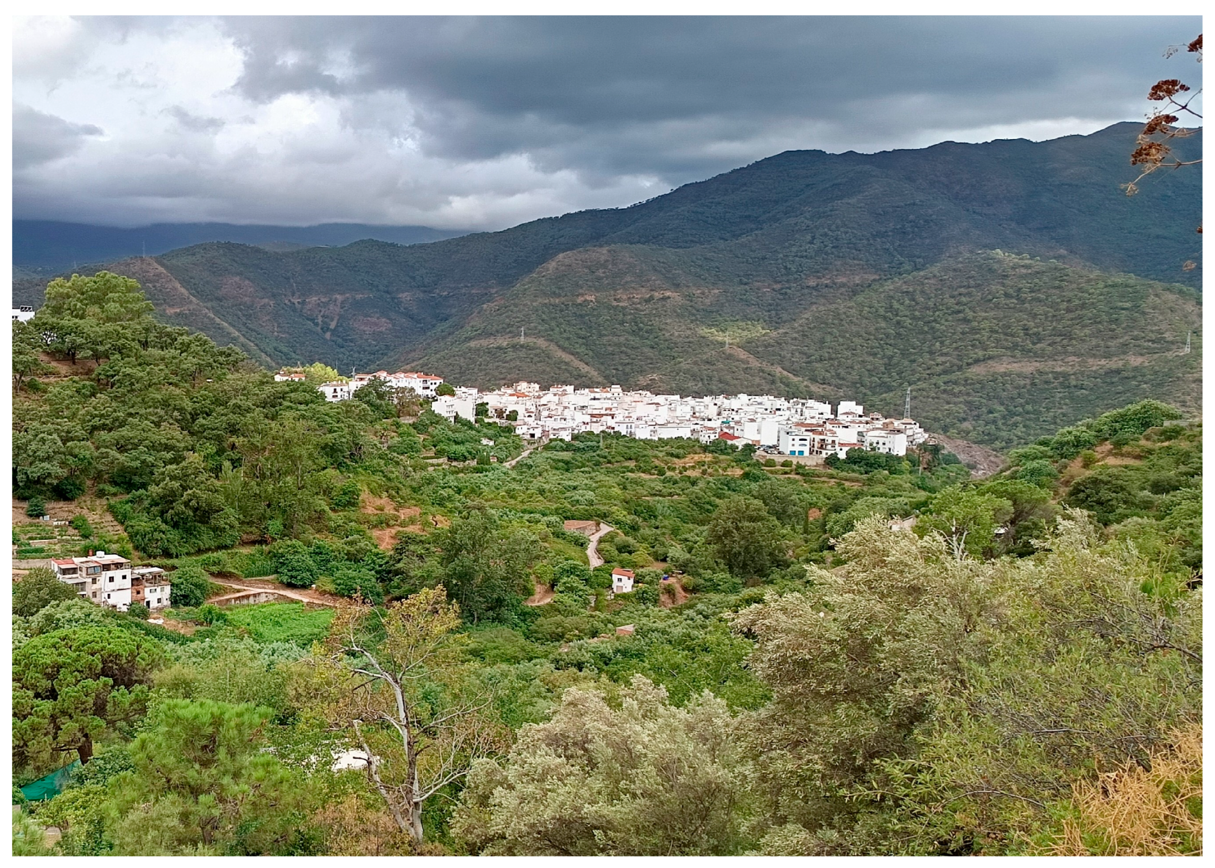 Geographies 05 00078 g003 Geographies 05 00078 g003