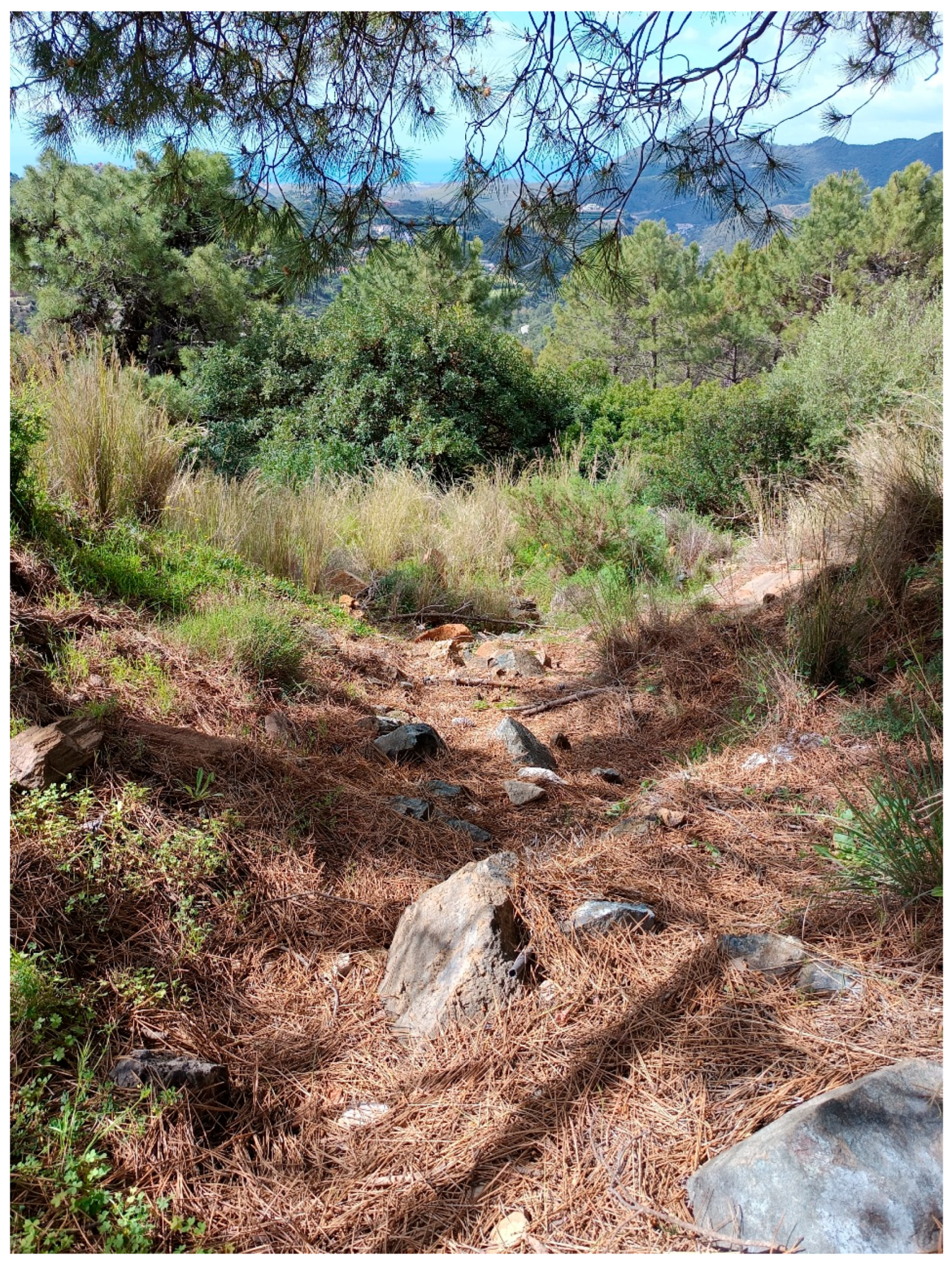 Geographies 05 00078 g012 Geographies 05 00078 g012