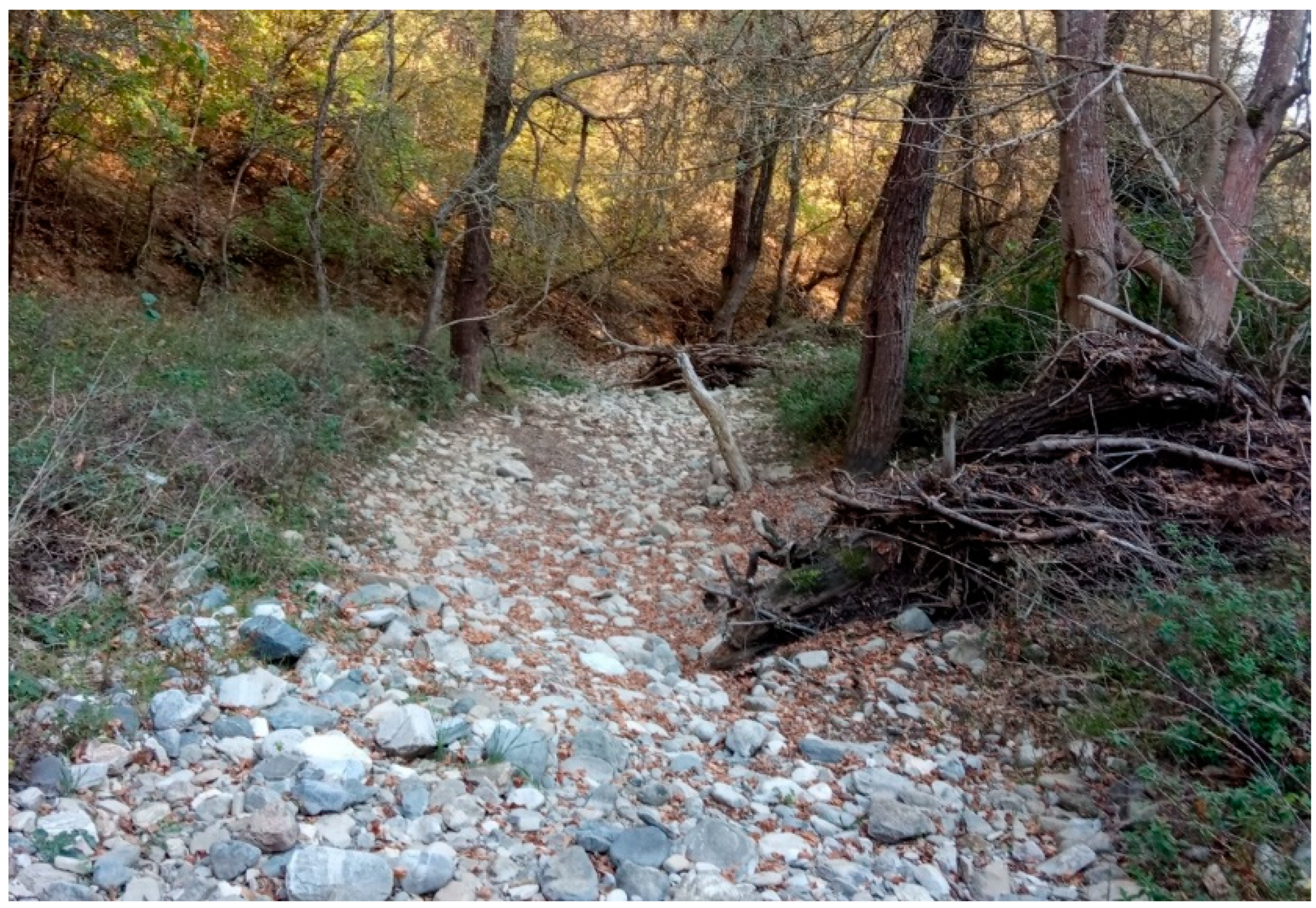 Geographies 06 00002 g006