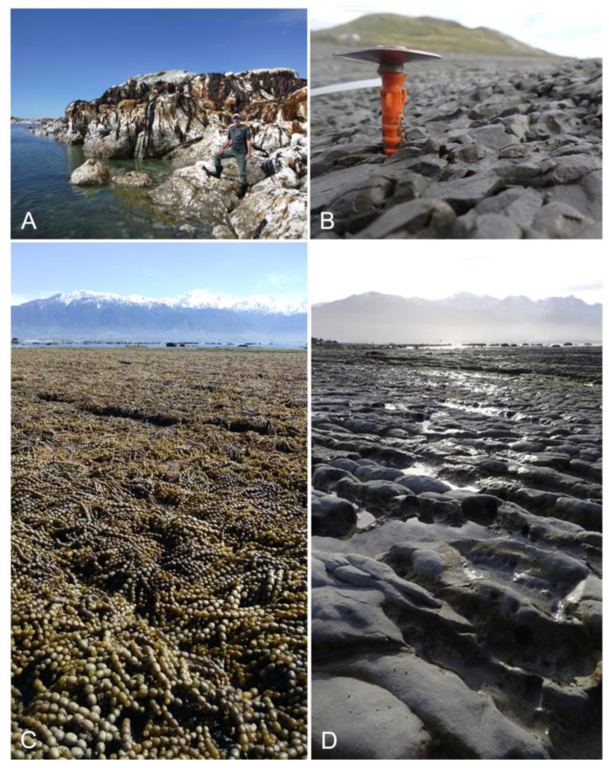 Geohazards 02 00016 g008 550