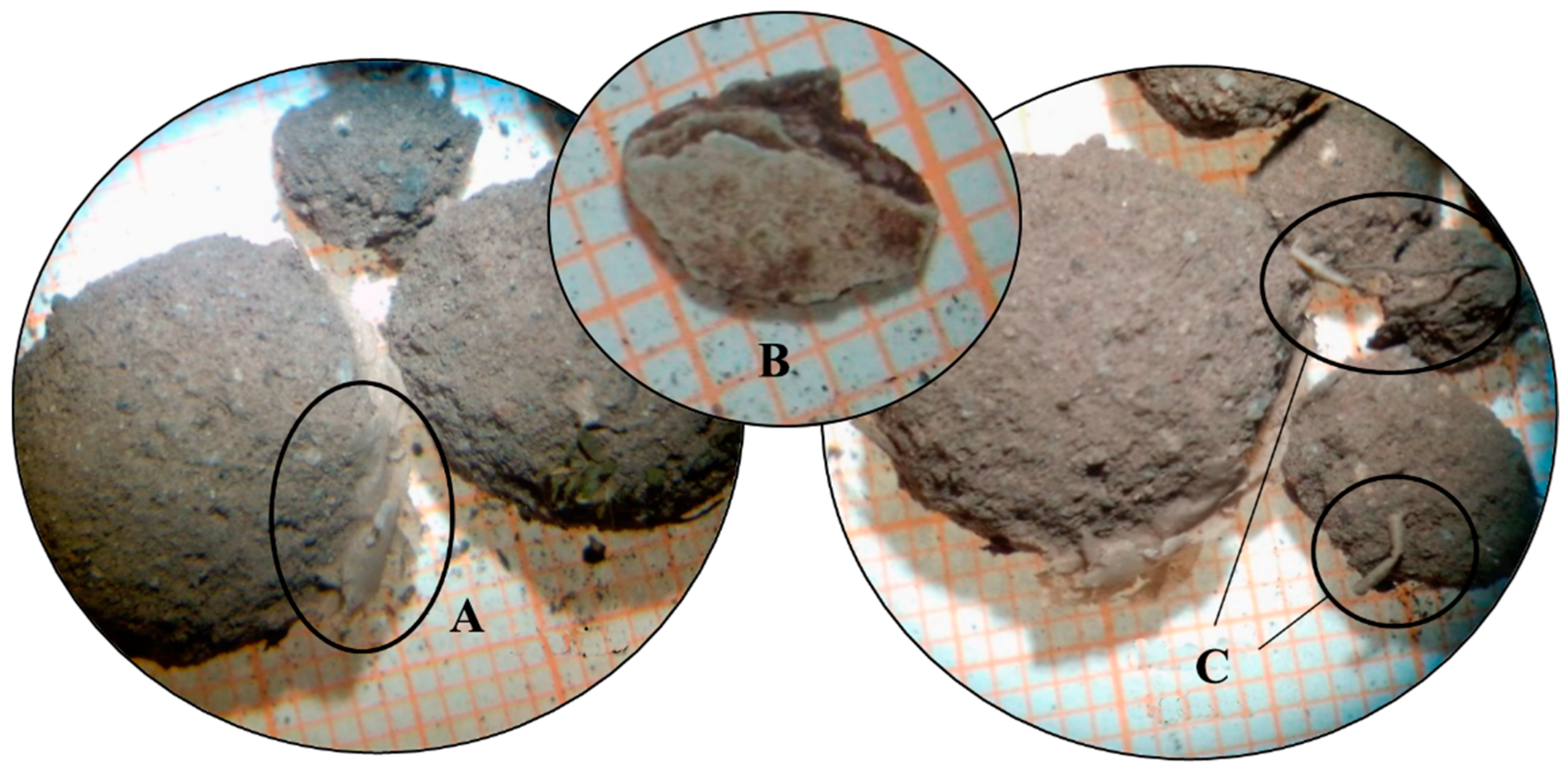 Geohazards 05 00031 g019