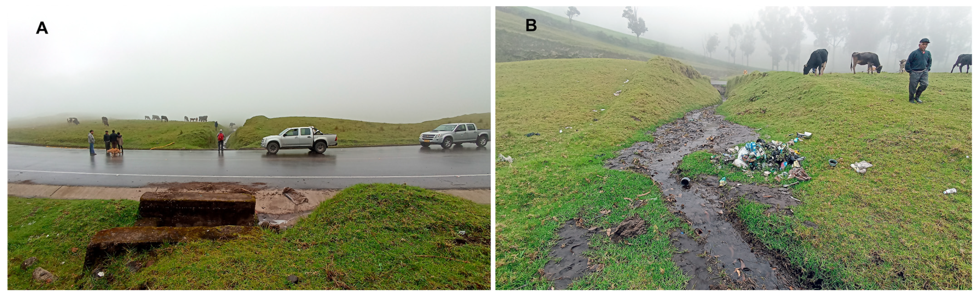 Geohazards 06 00028 g009