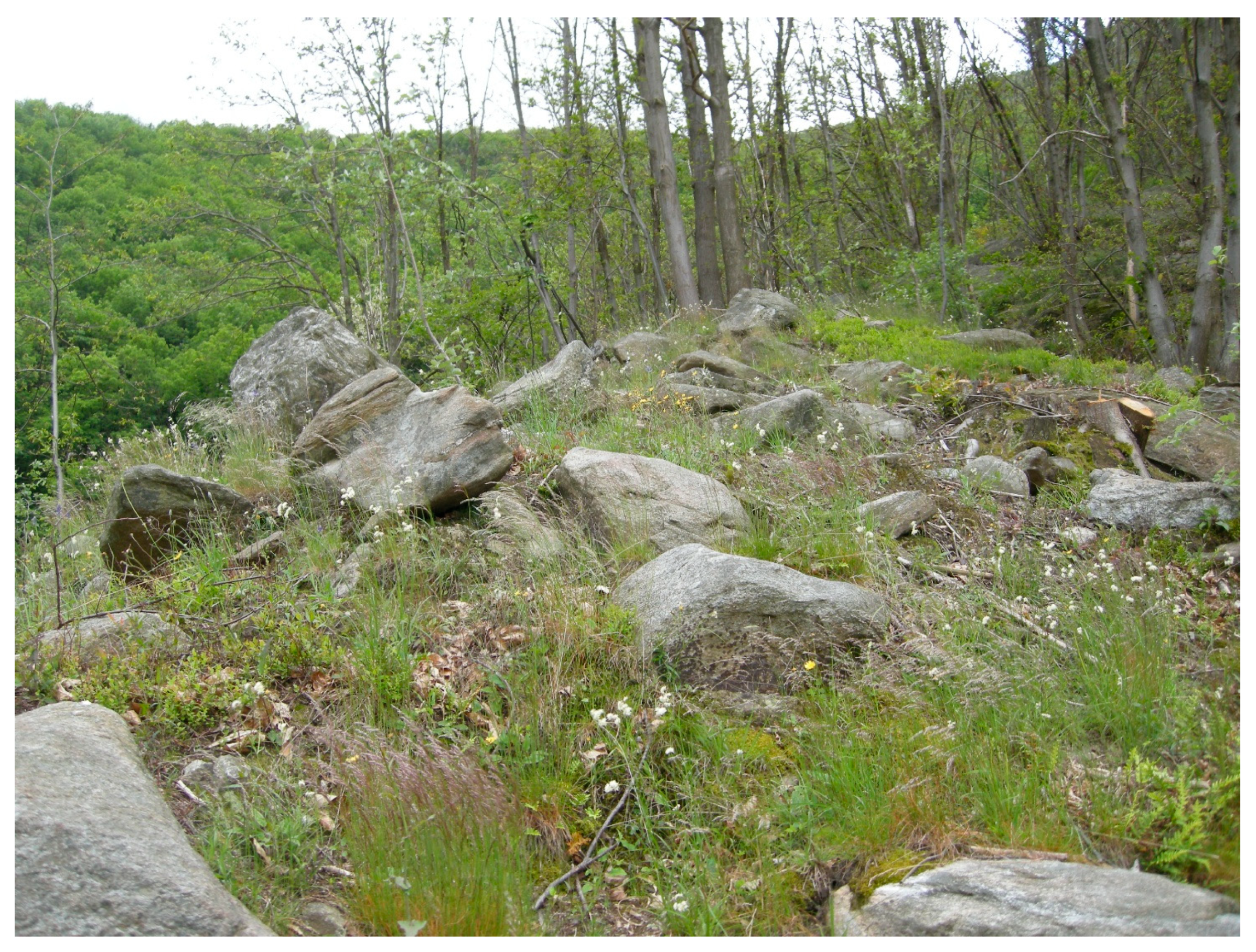 Geohazards 06 00051 g005