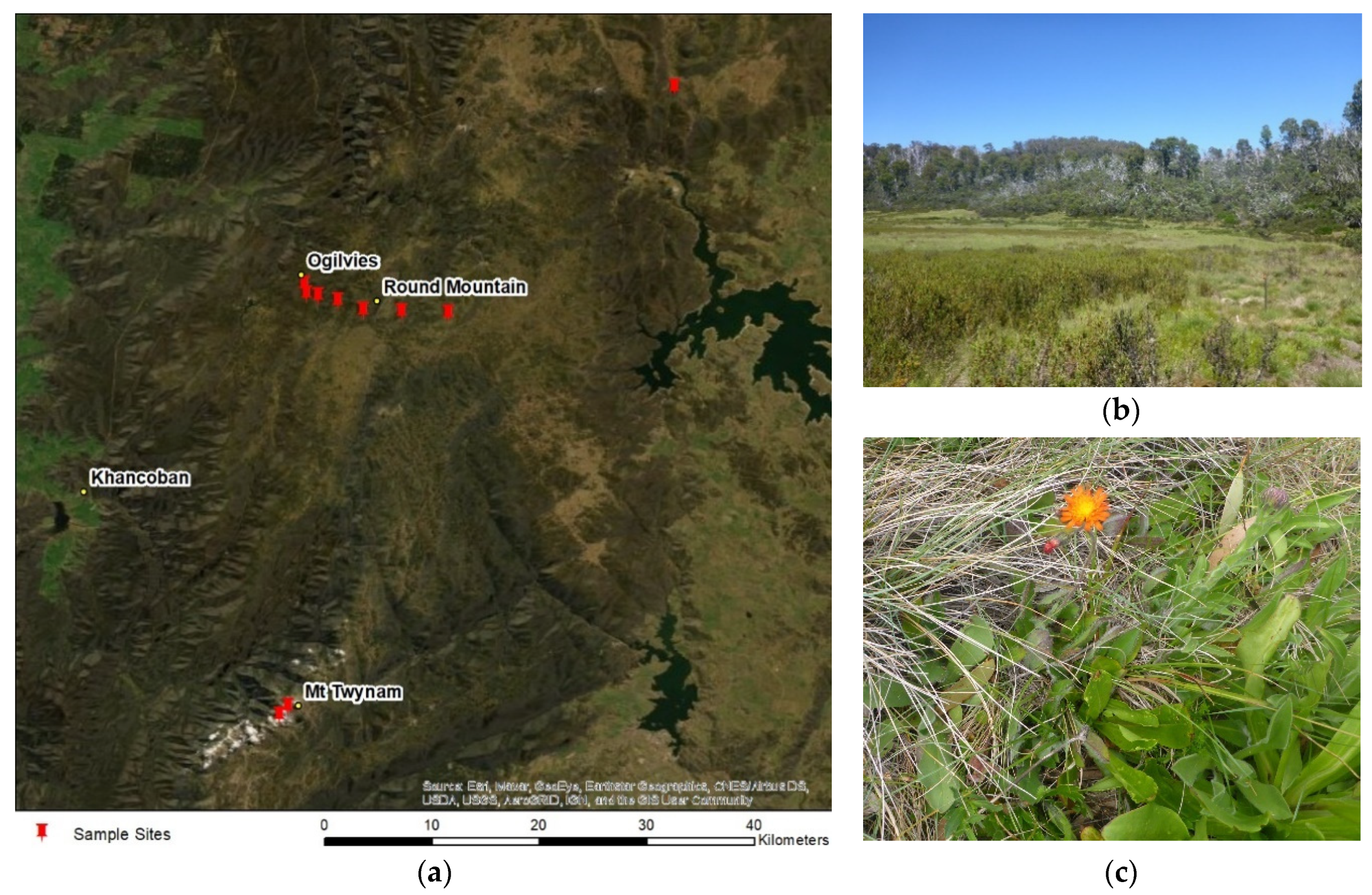 Geomatics 01 00011 g002