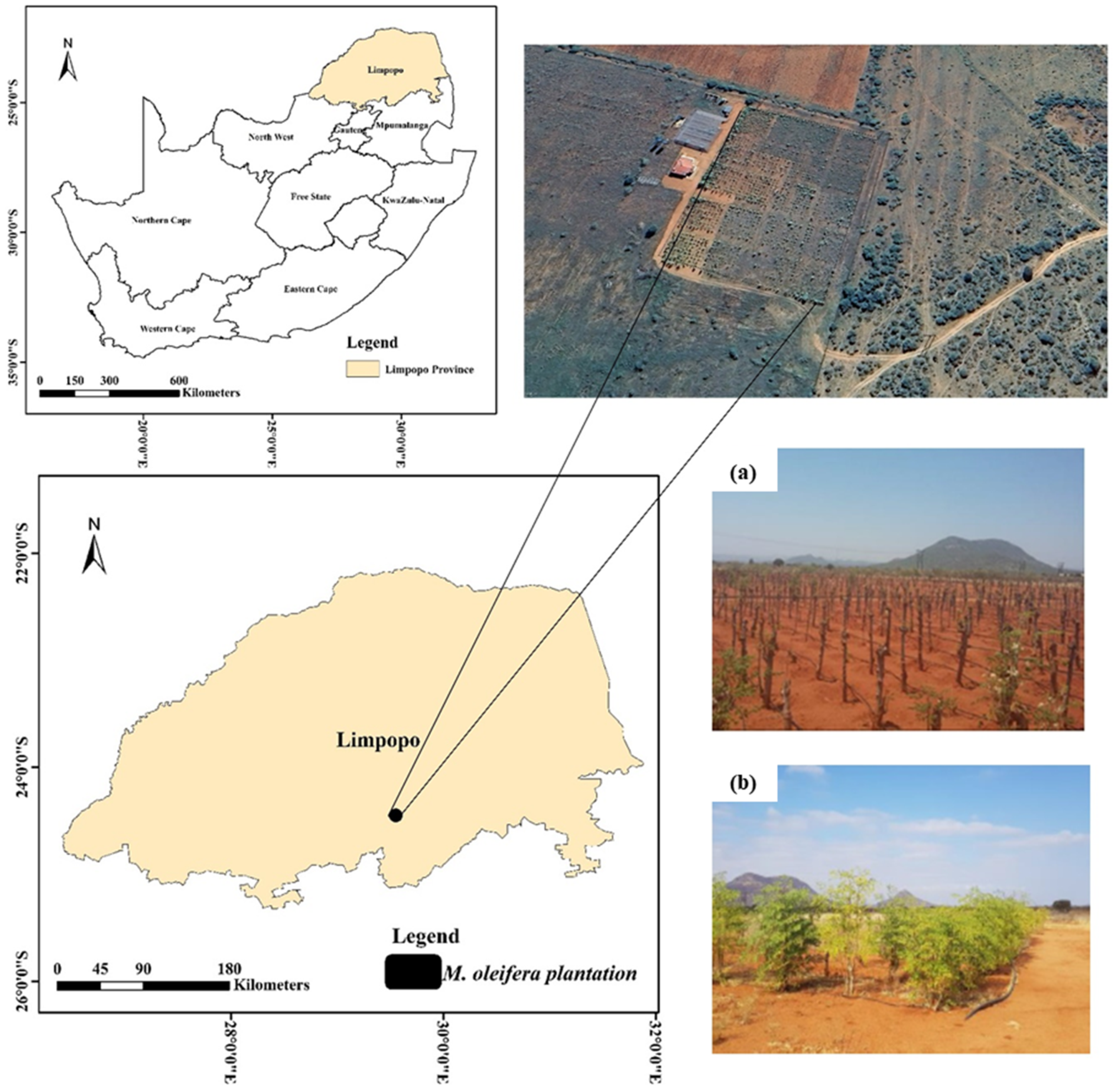 Geomatics 05 00018 g001