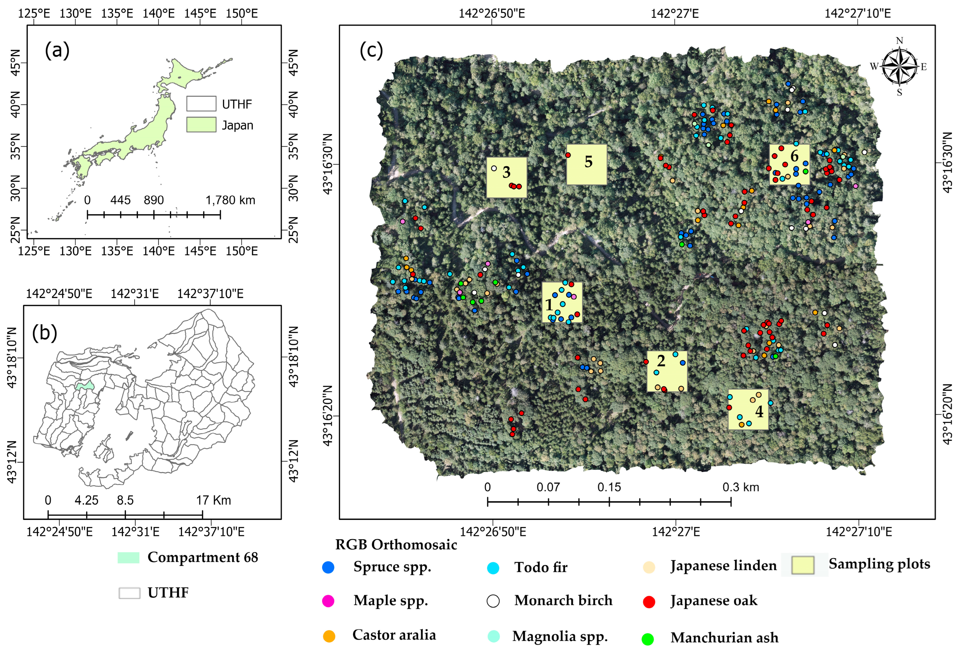 Geomatics 05 00032 g001