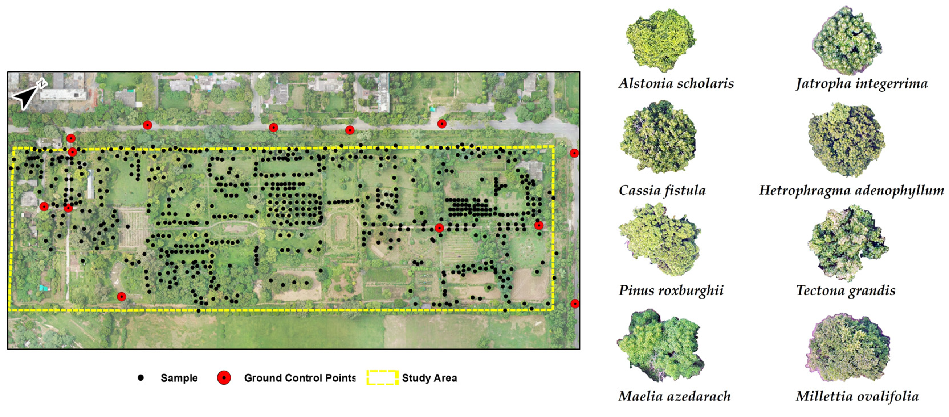 Geomatics 05 00042 g004