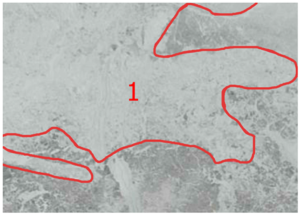 Geomatics 05 00066 i006