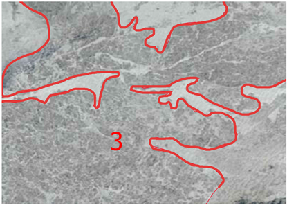 Geomatics 05 00066 i012