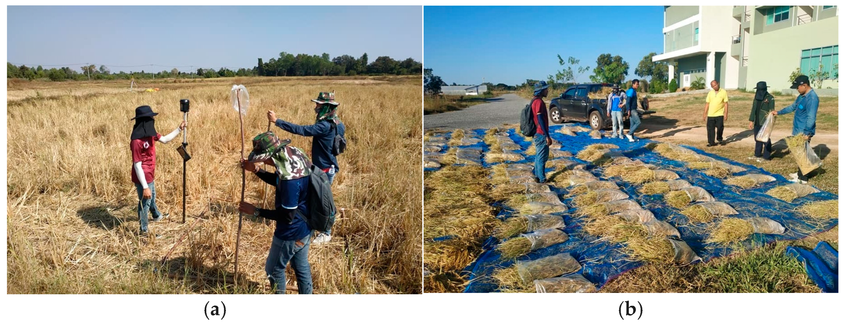 Geomatics 05 00080 g003