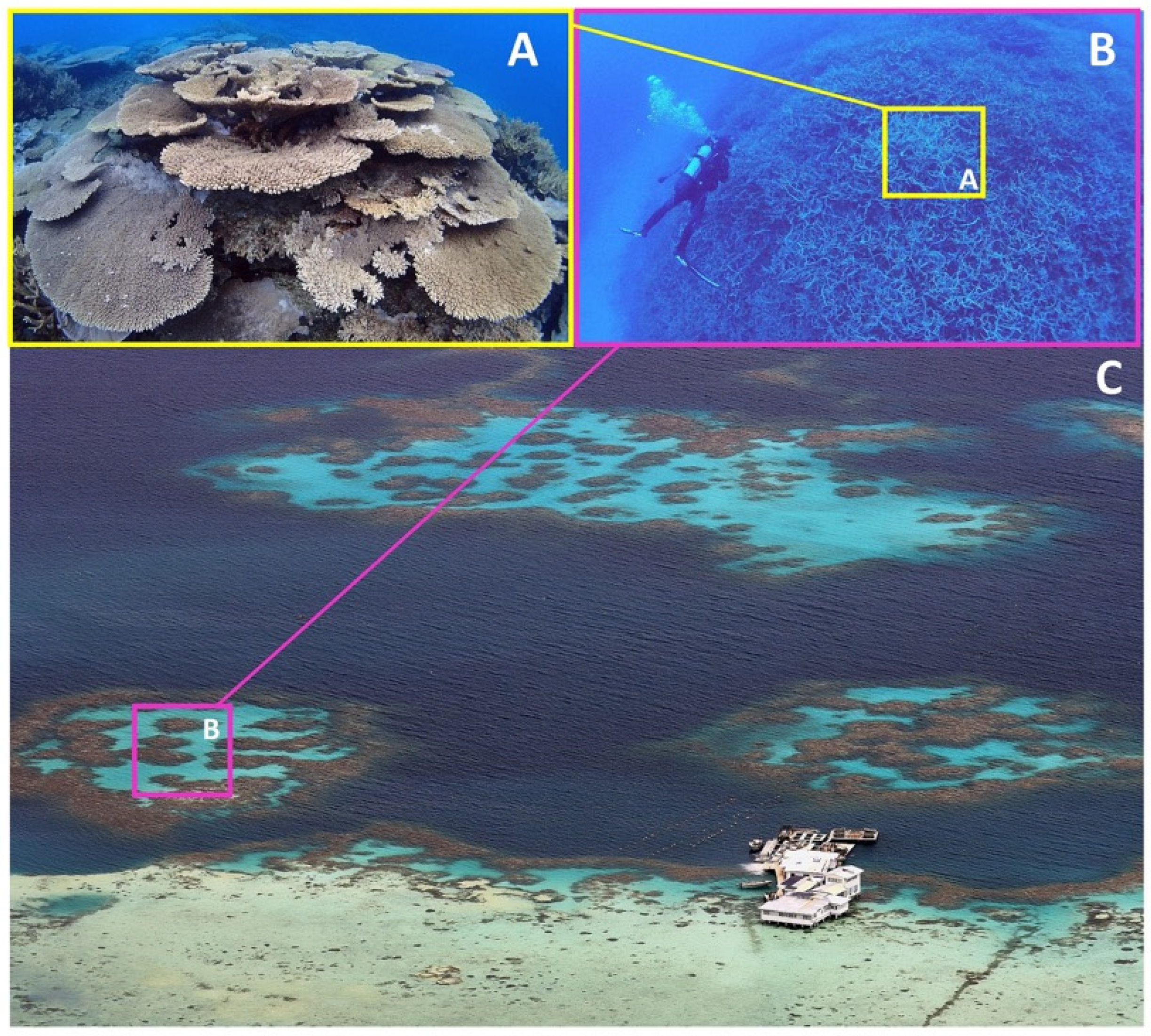 Geomatics 05 00081 g002