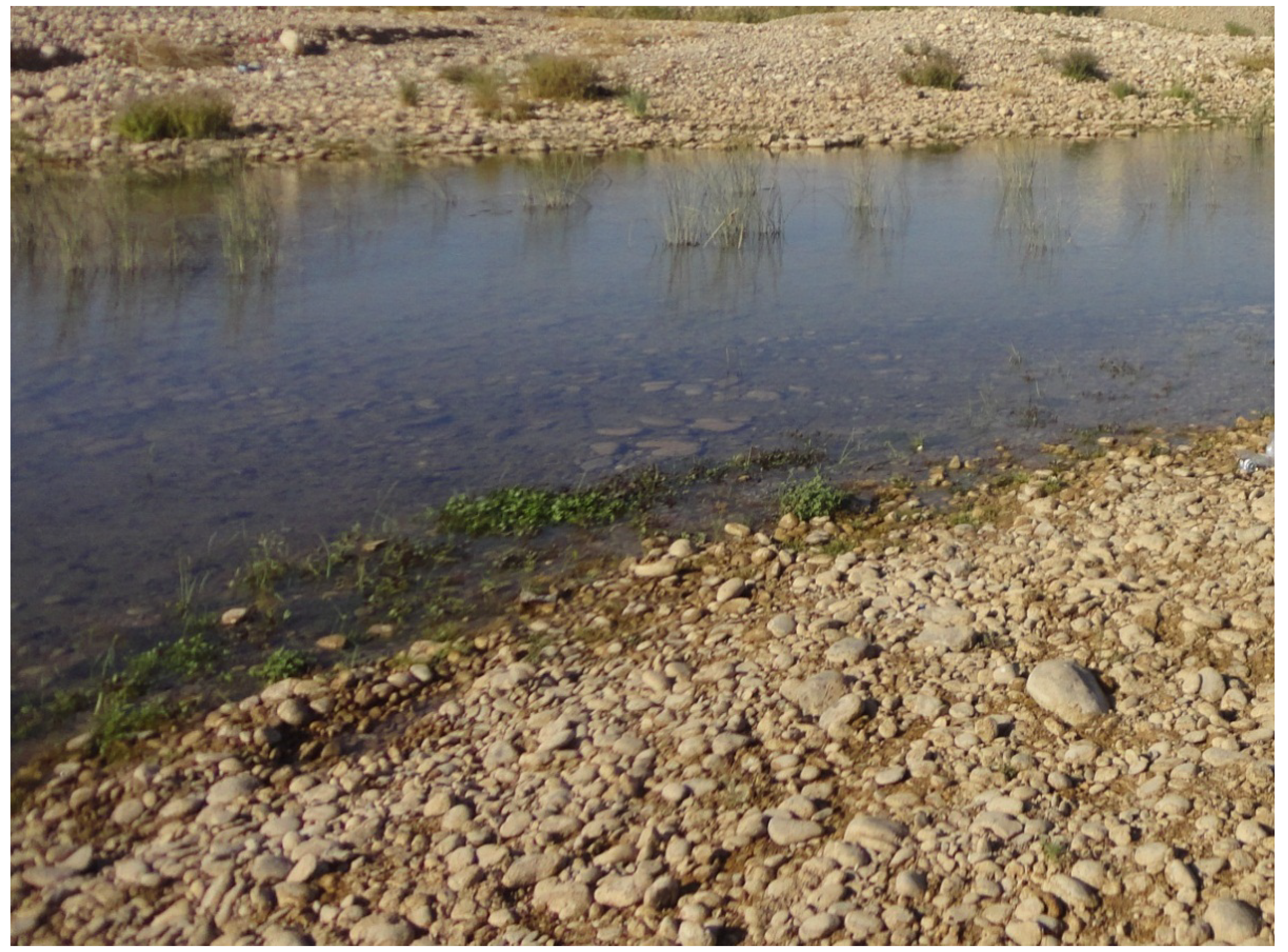 Geosciences 05 00141 g007 1024