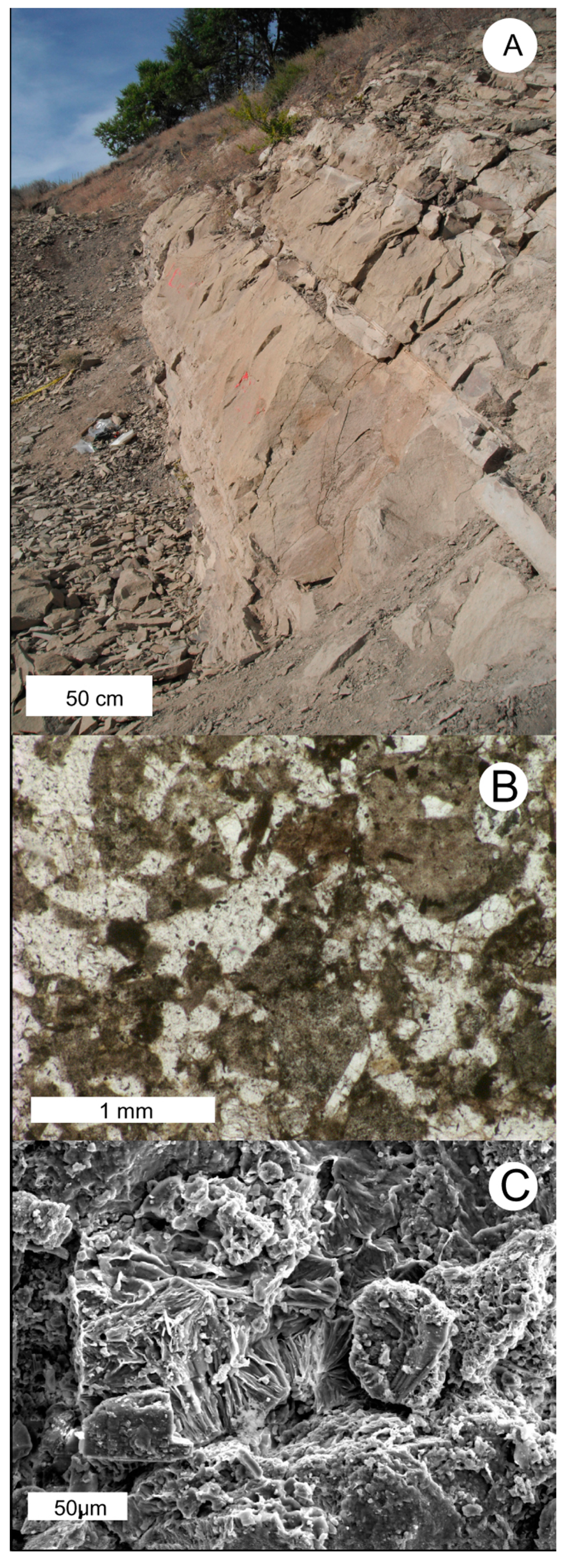 Geosciences 05 00243 g010