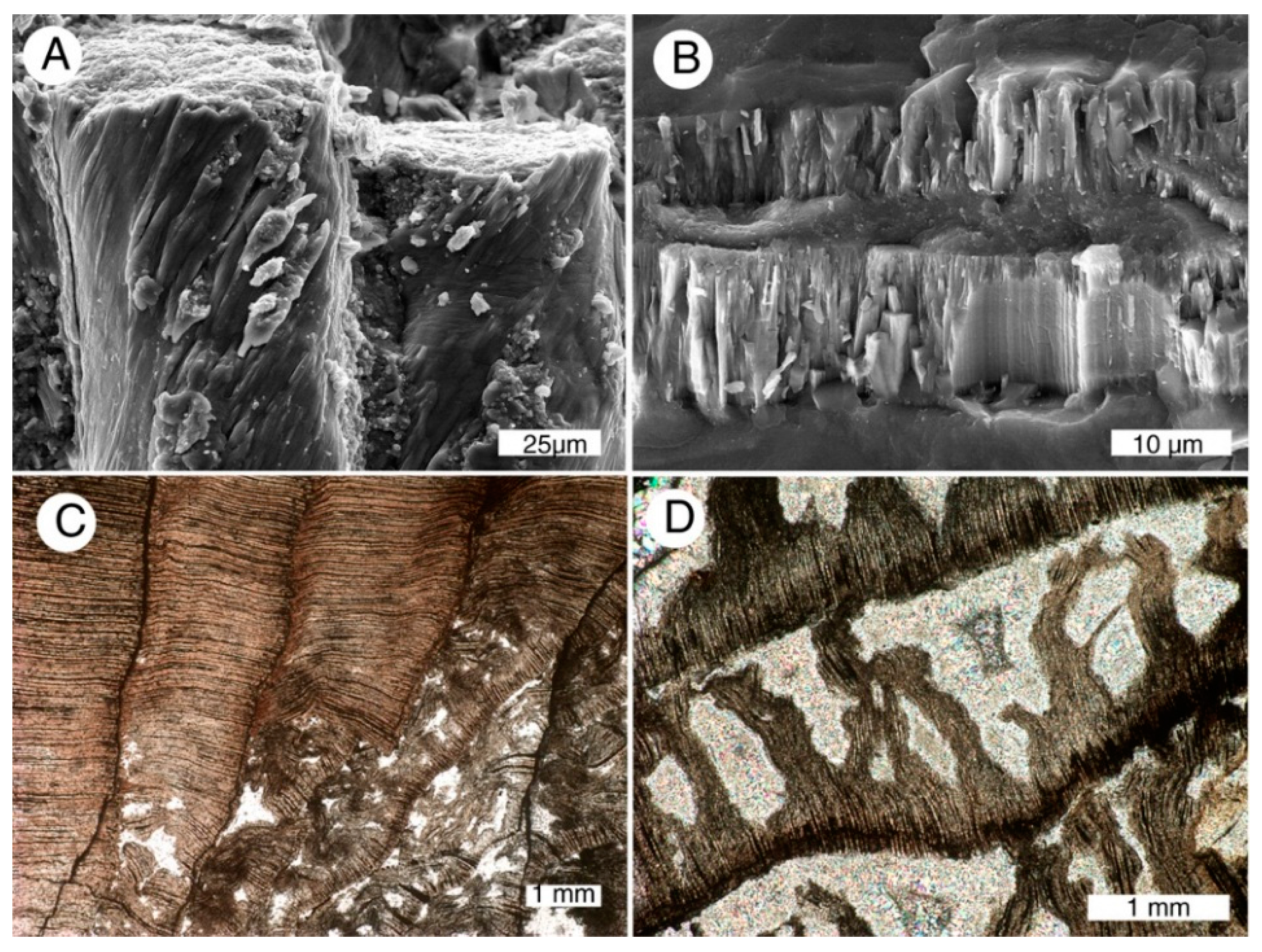 Geosciences 05 00286 g007 1024