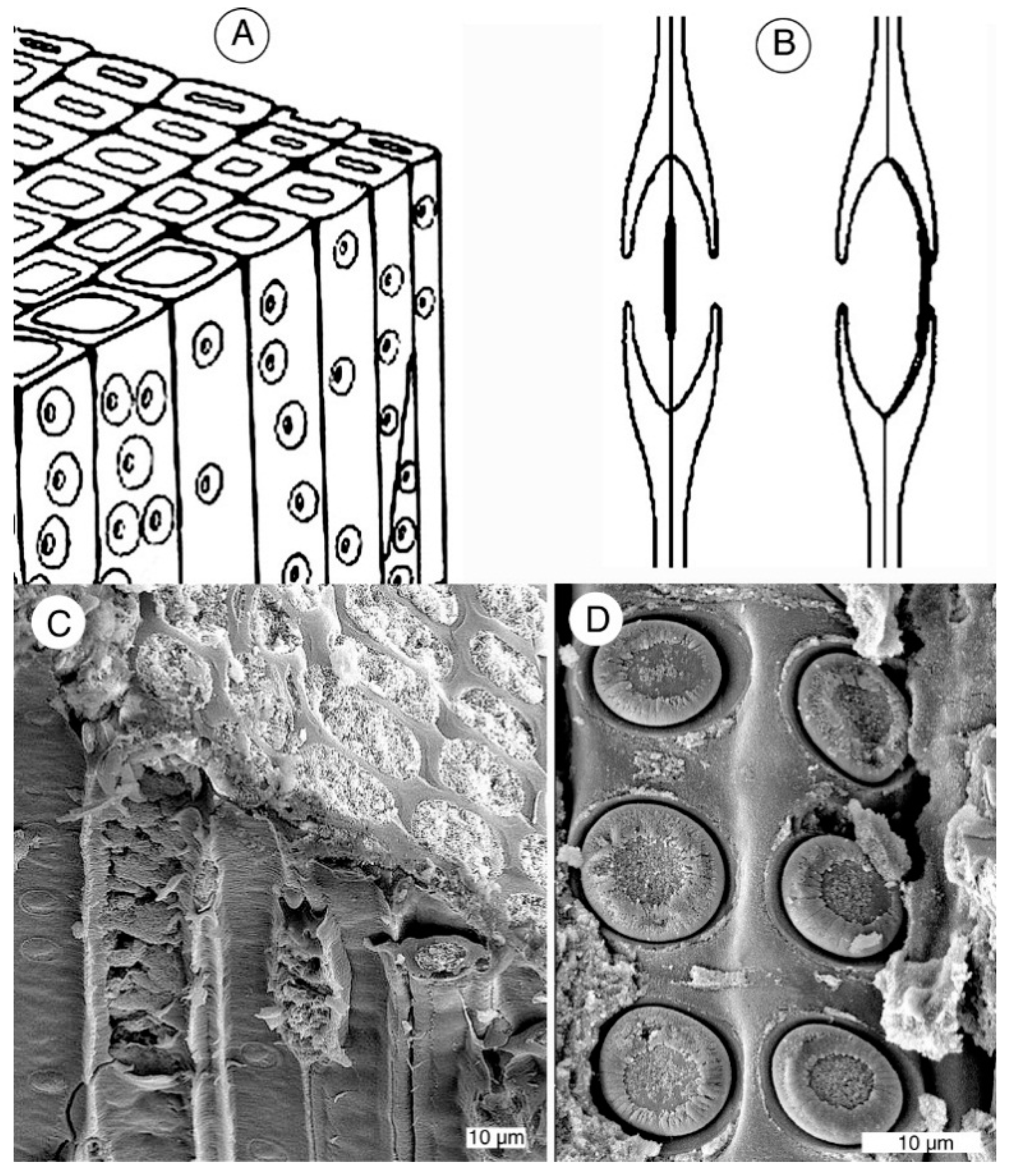 Geosciences 05 00286 g009 1024
