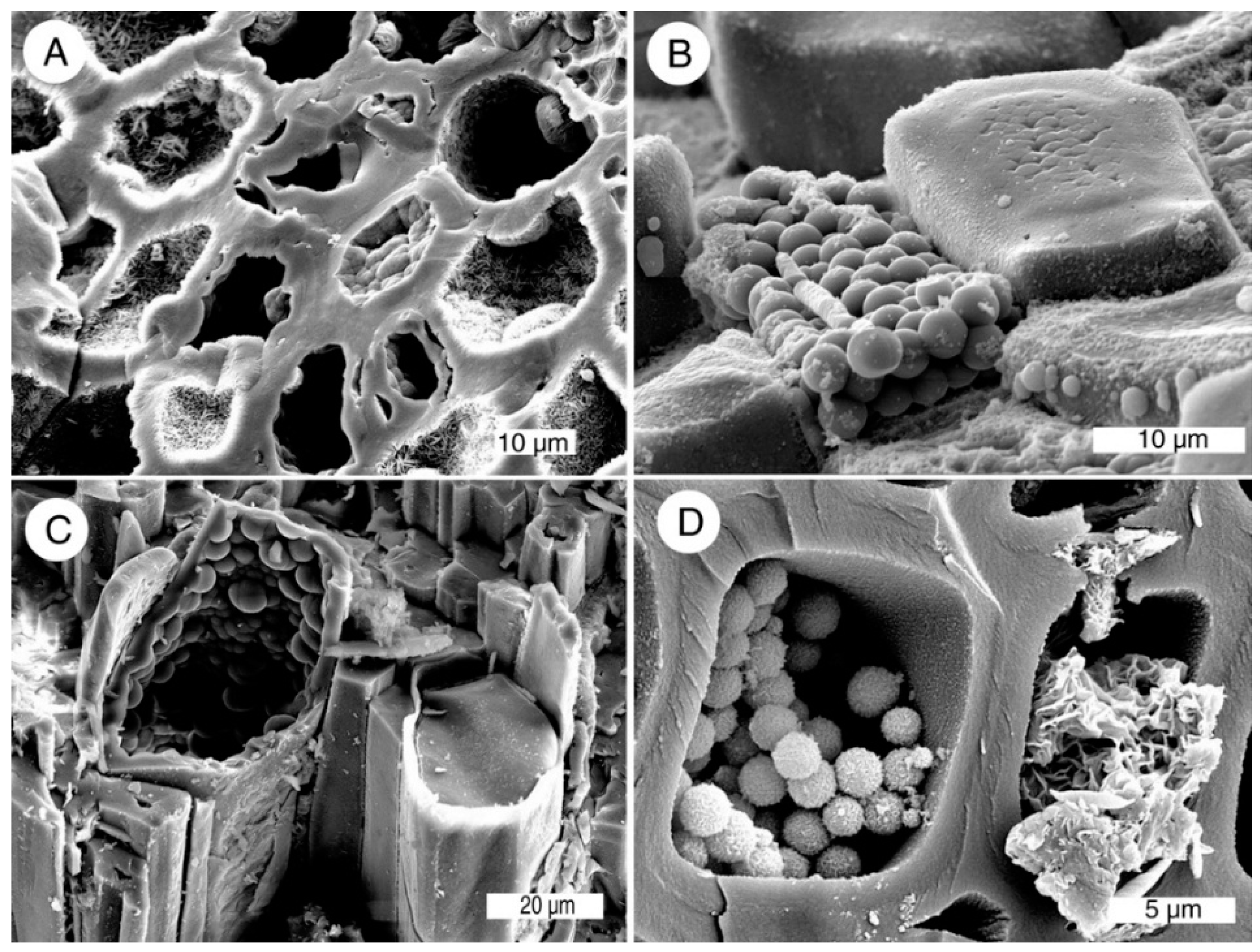 Geosciences 05 00286 g014 1024