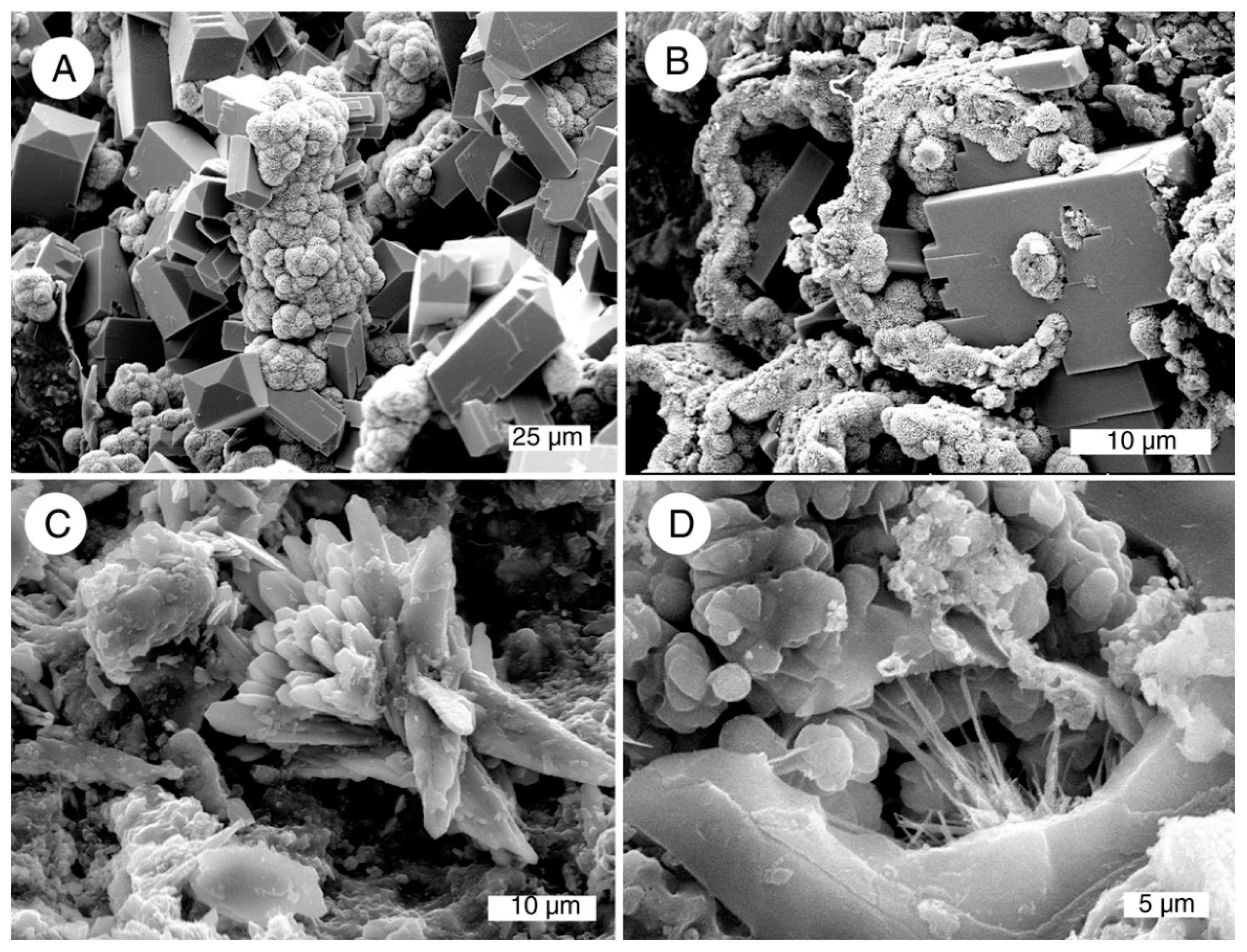 Geosciences 05 00286 g016 1024