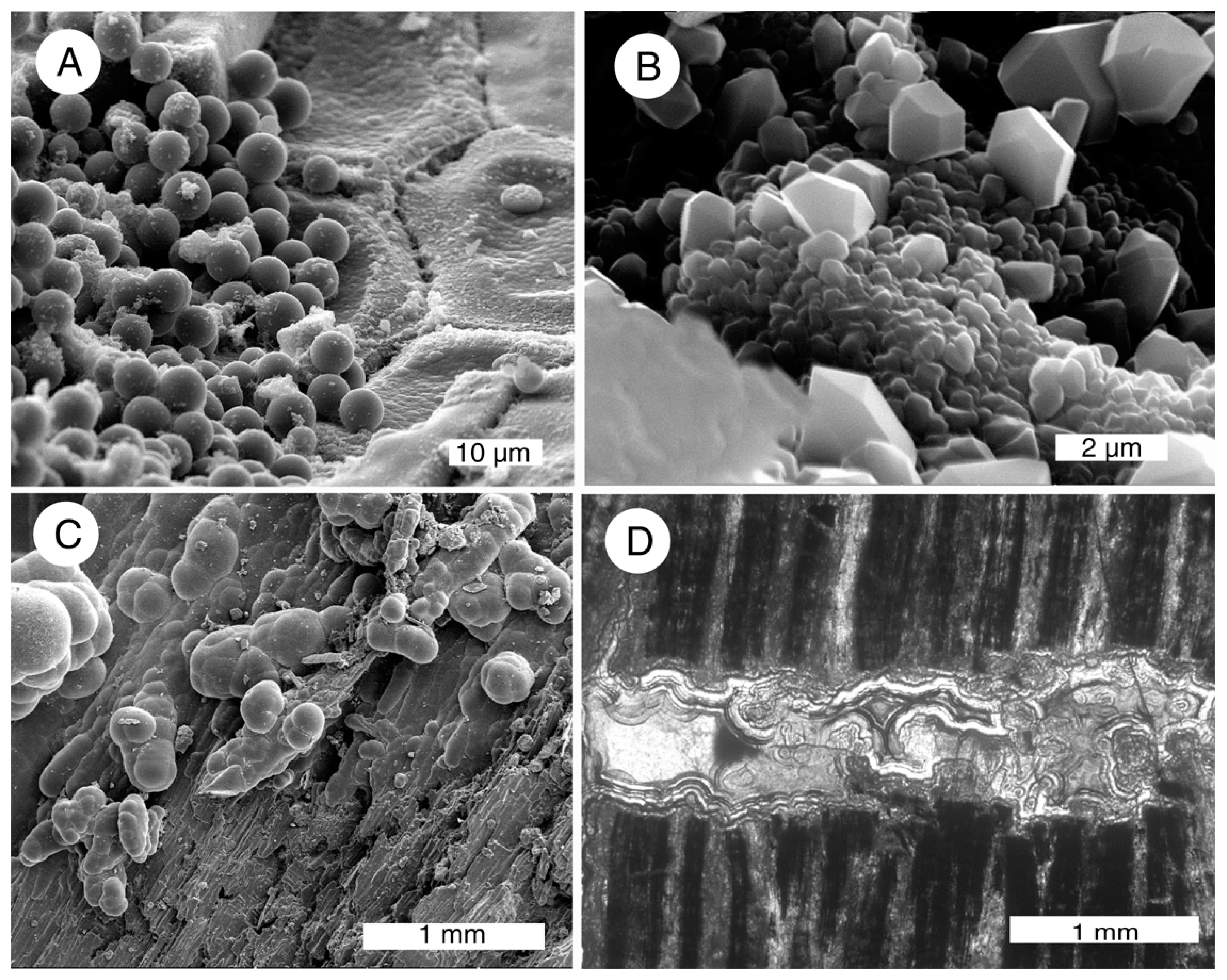 Geosciences 05 00286 g017 1024