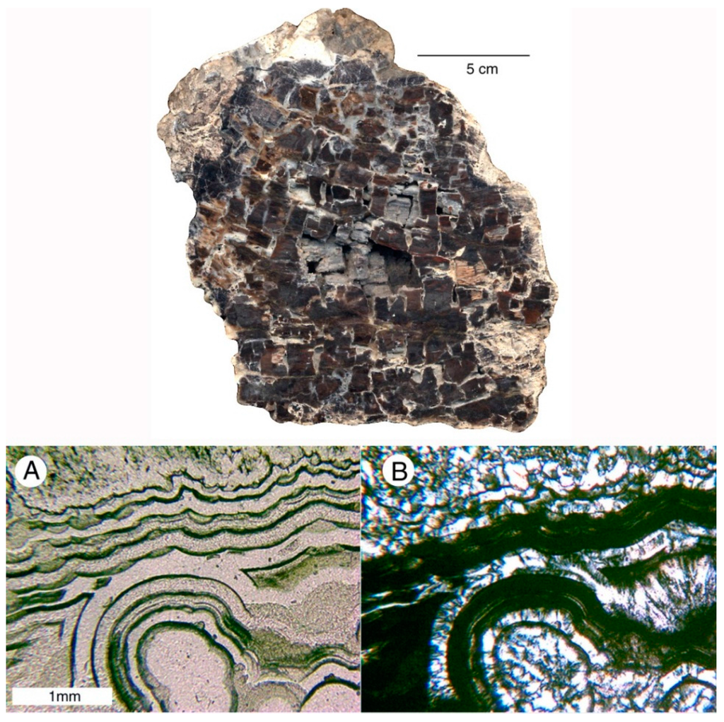 Geosciences 05 00286 g020 1024