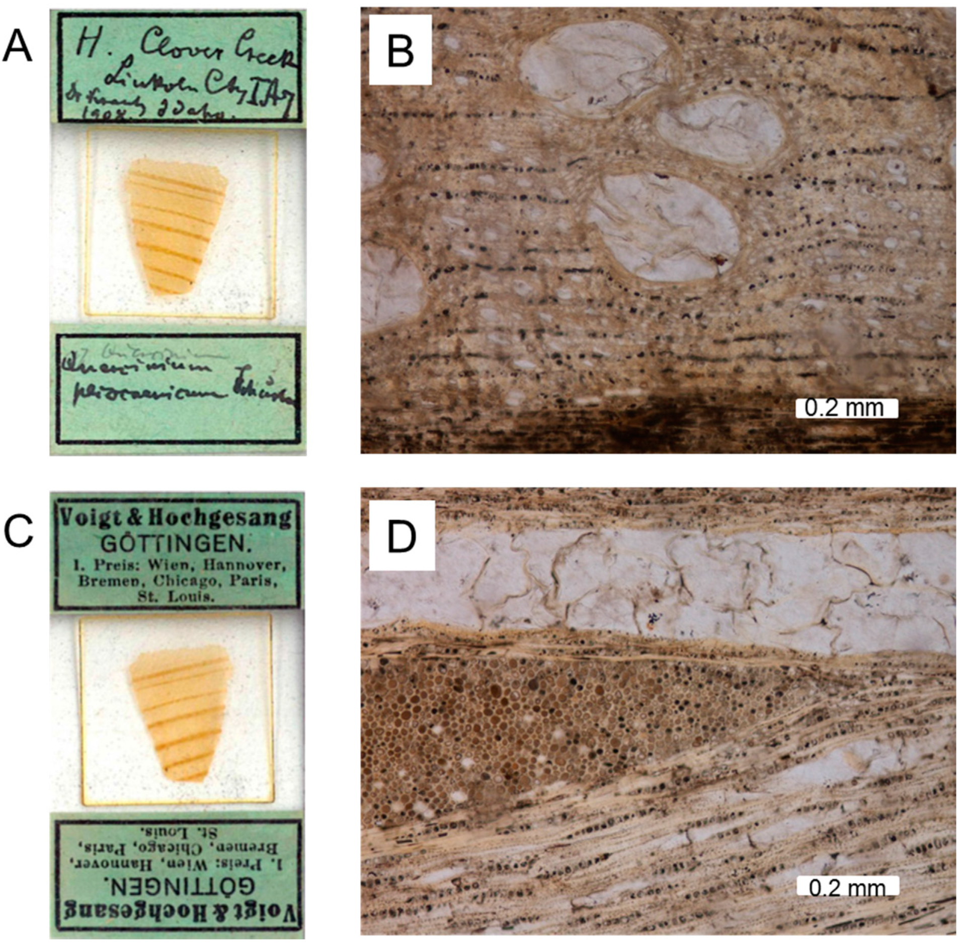 Geosciences 06 00021 g002