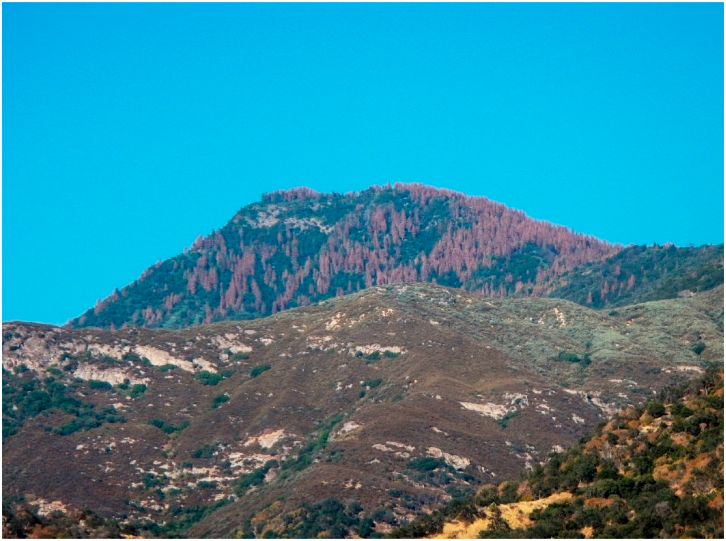 Geosciences 06 00037 g004