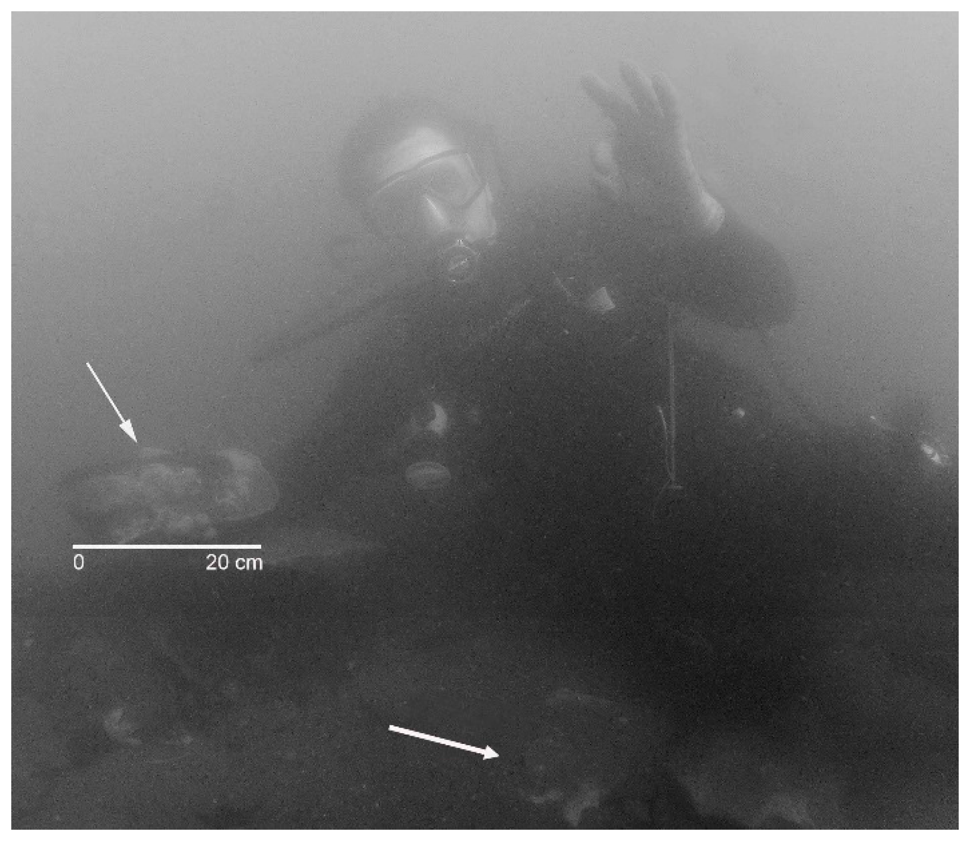 Geosciences 06 00041 g003