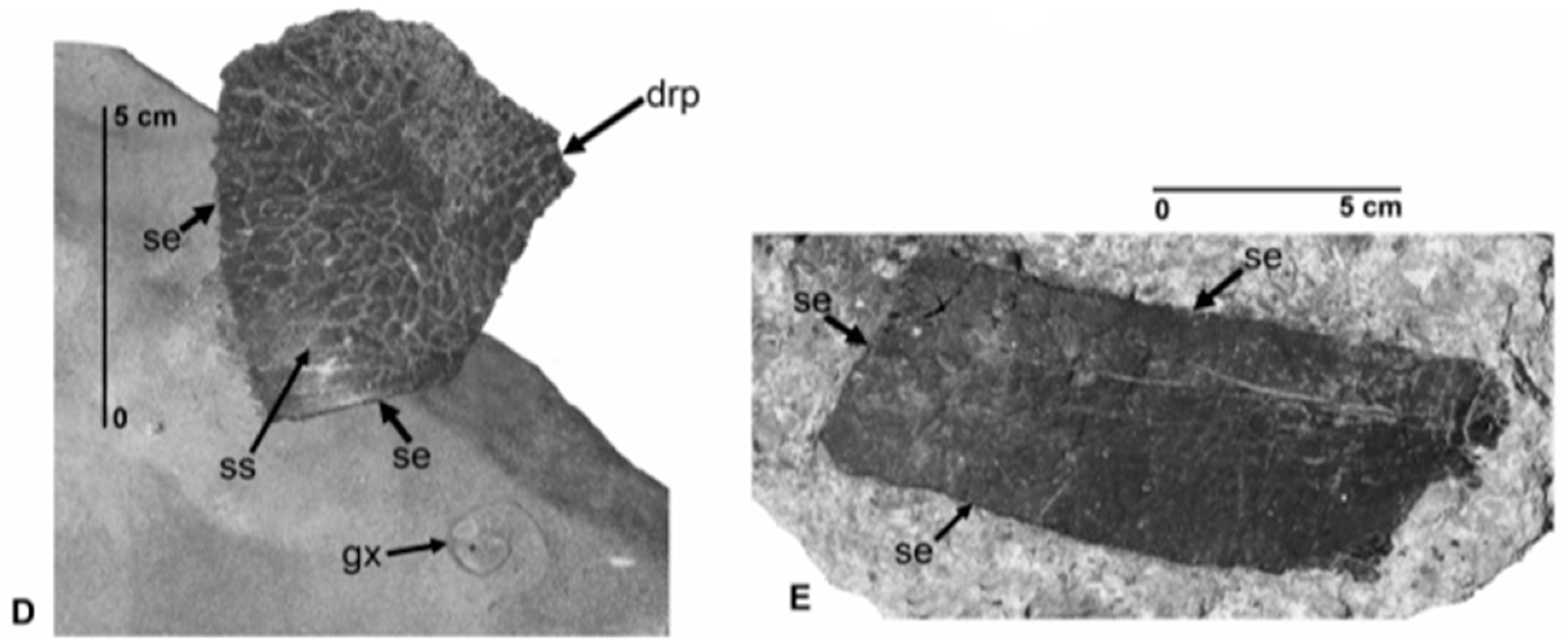Geosciences 06 00041 g005b