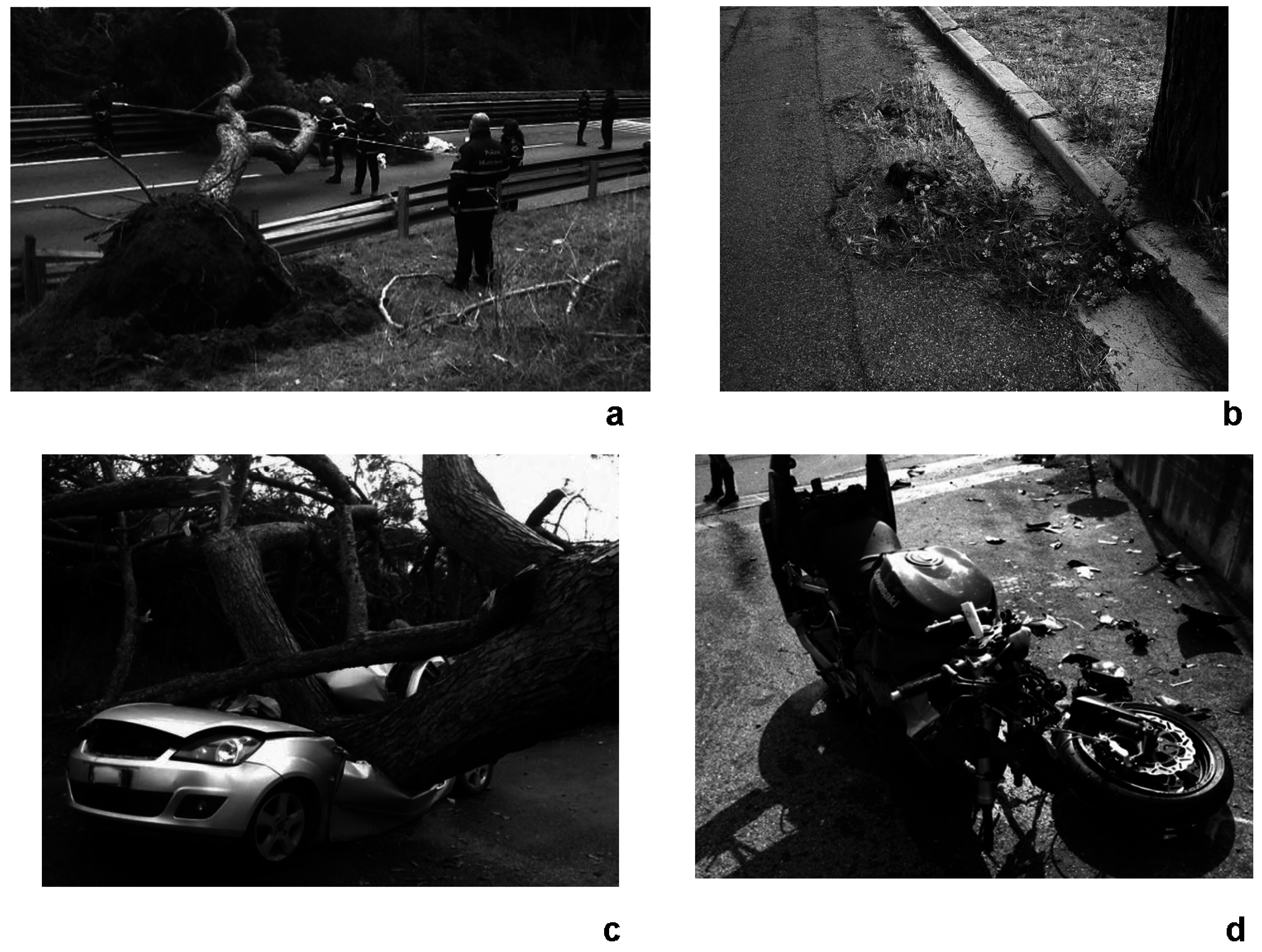 Geosciences 06 00050 g002