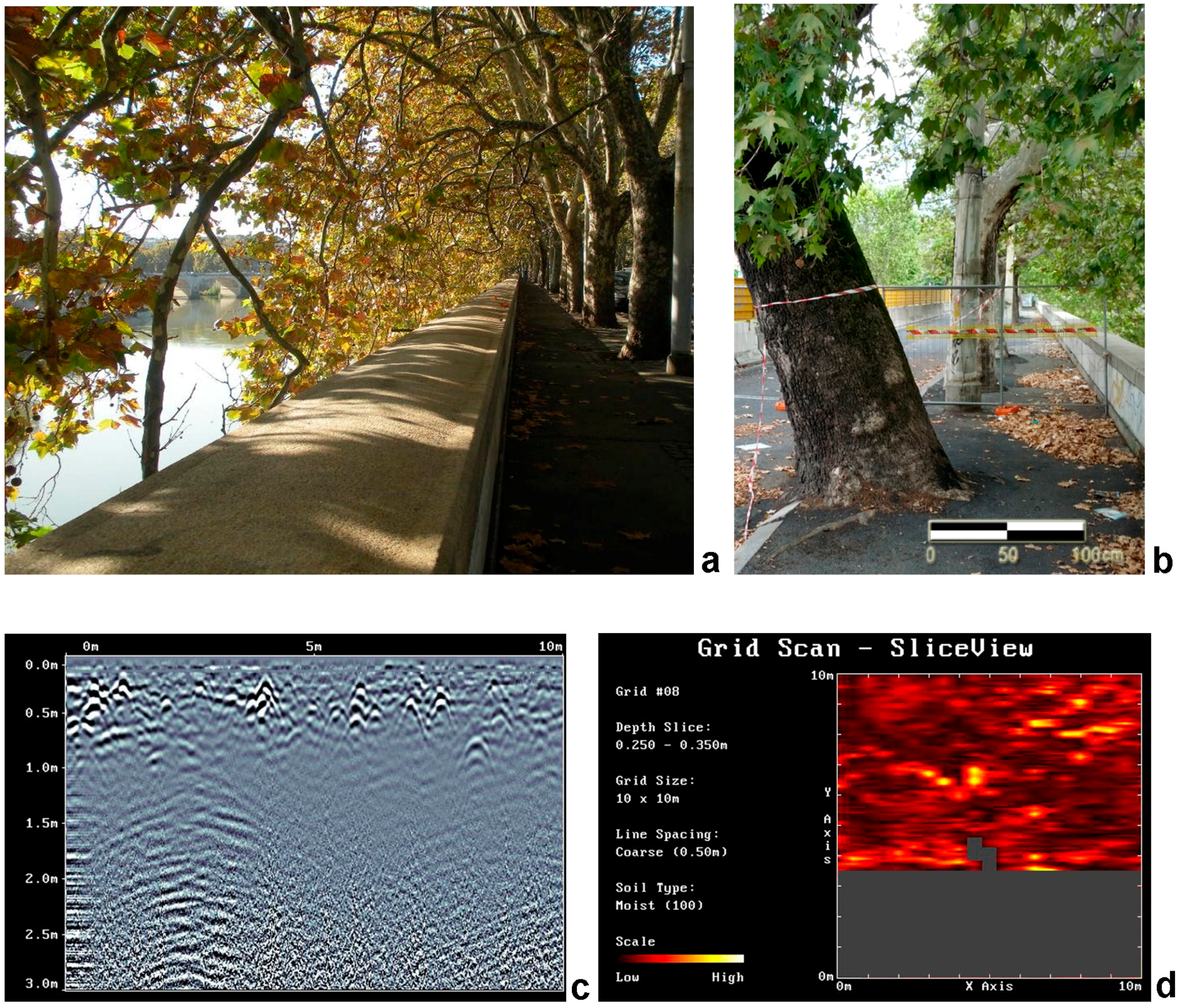Geosciences 06 00050 g007