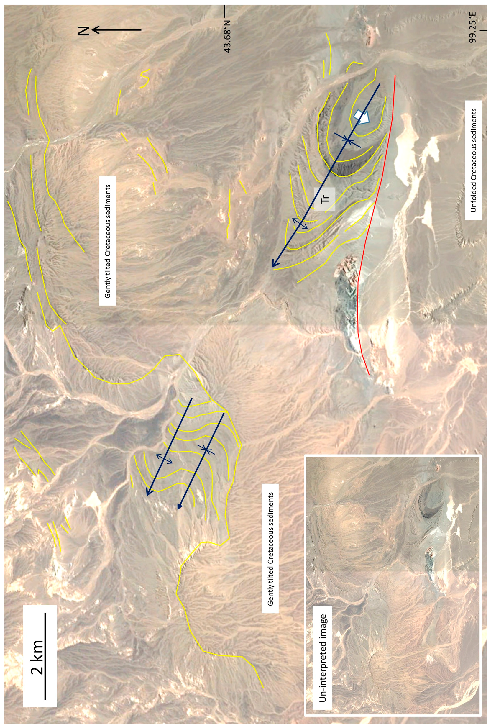 送料無料 通販 激安 of Compartments Basinal Folded the Mongolian Southern その他