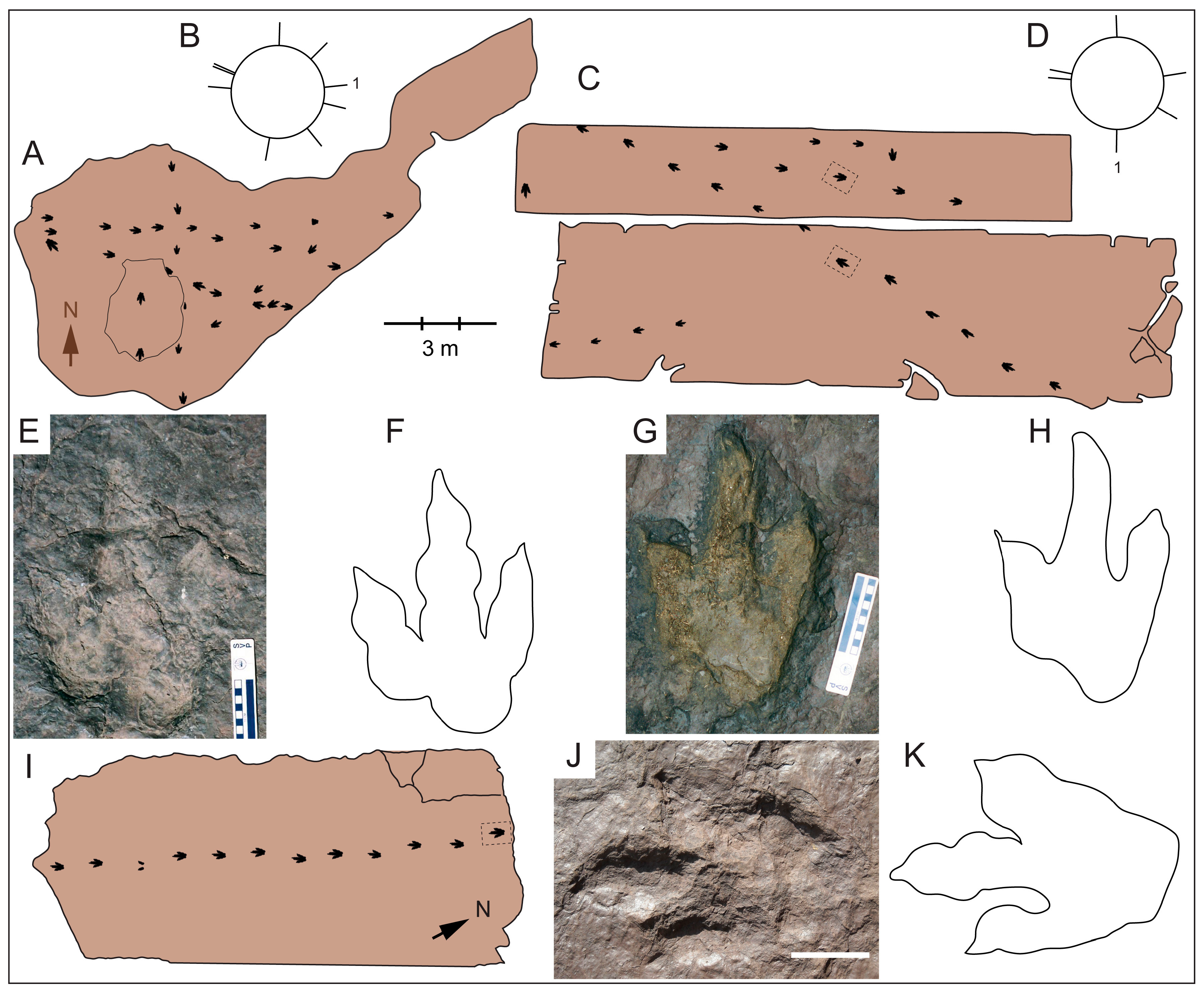 Geosciences 07 00013 g003