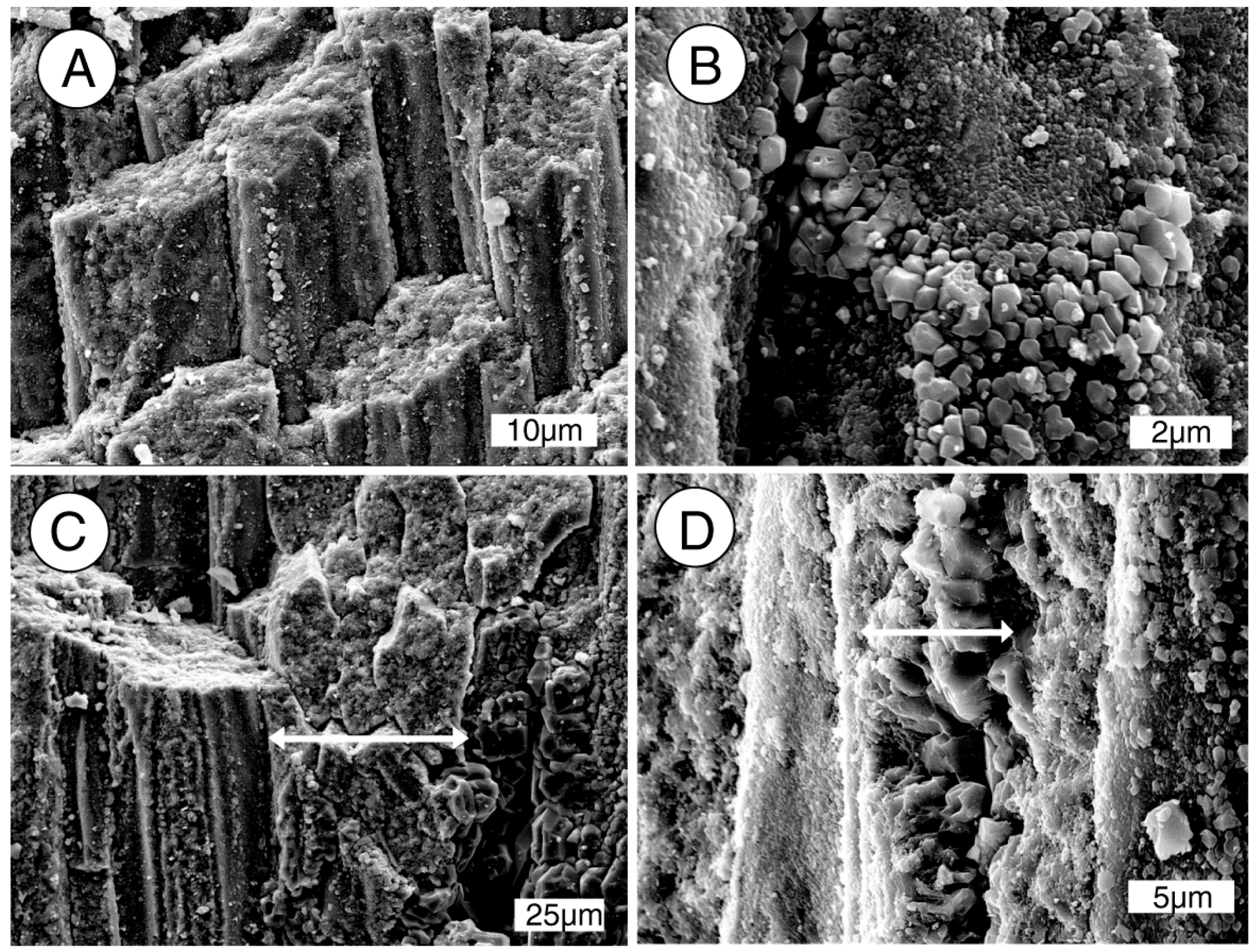 Geosciences 07 00023 g011